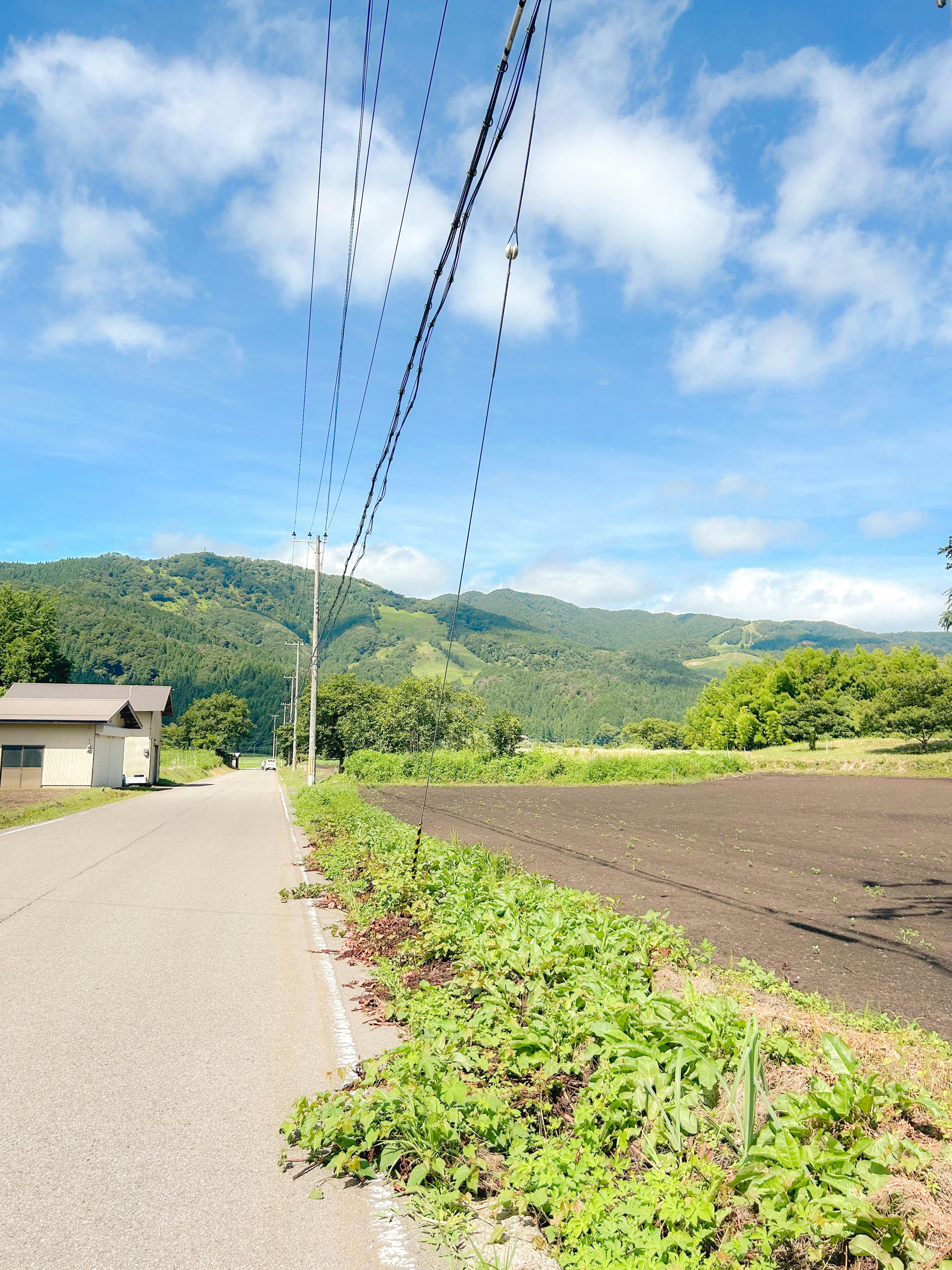 夏の田舎の道と緑の畑、山並みの風景