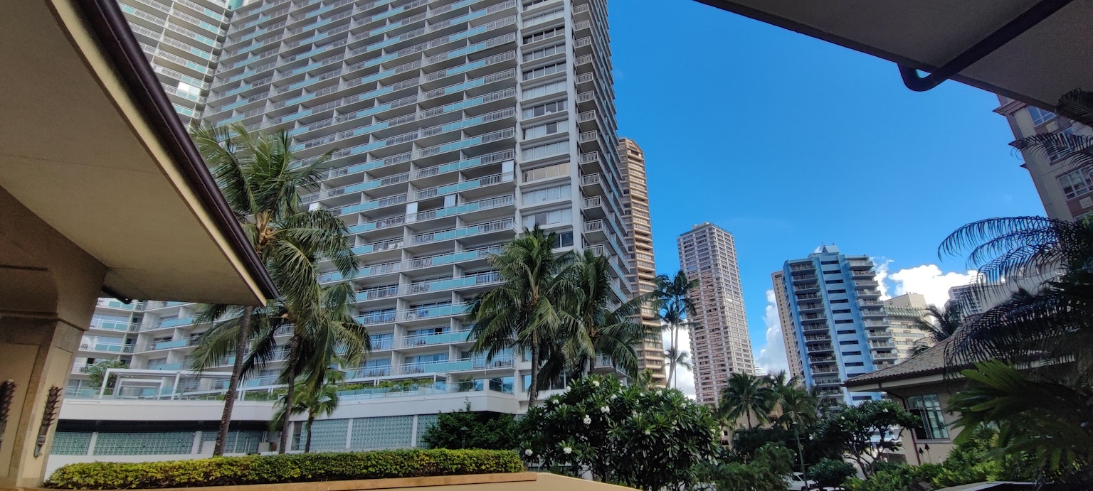 Vista de edificios altos contra un cielo azul con palmeras y vegetación