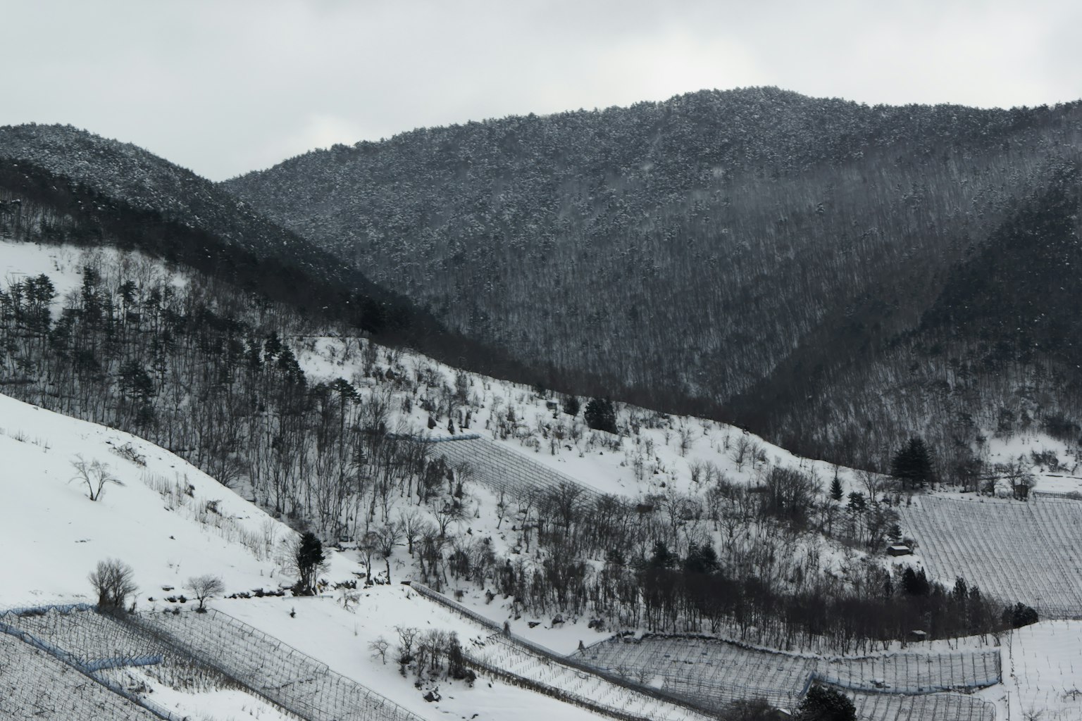 雪覆蓋的山脈和丘陵景觀