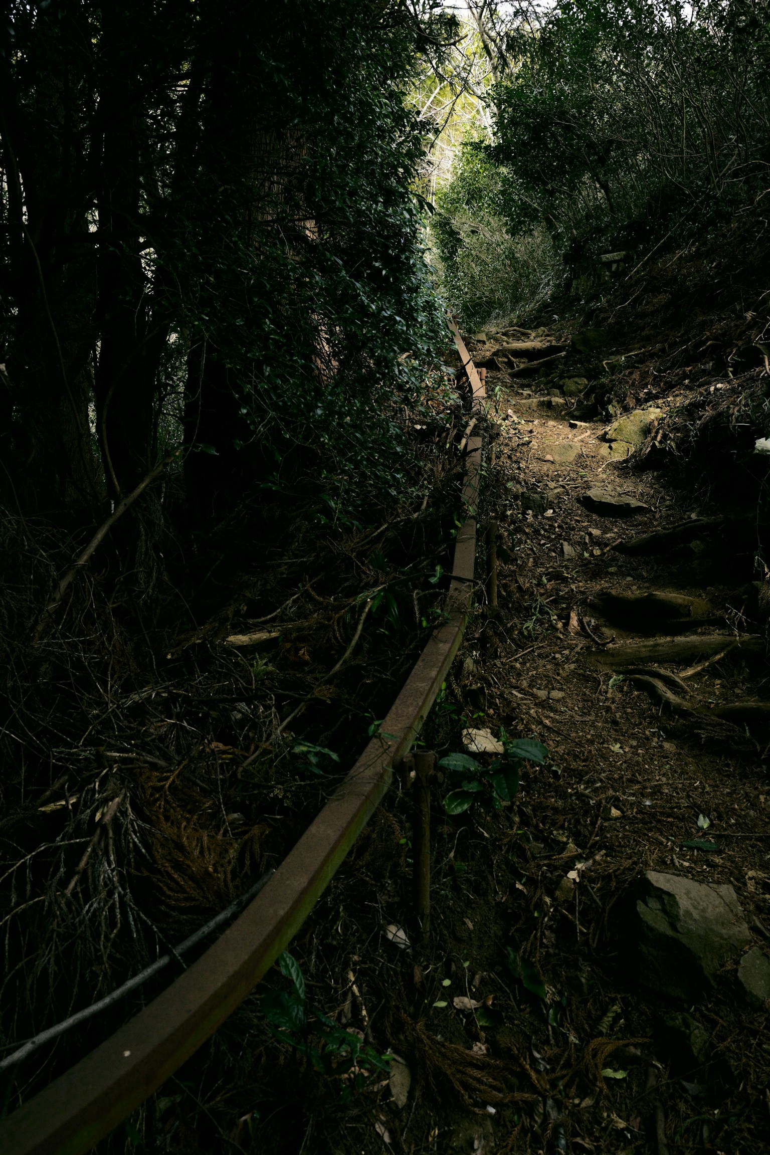photo-GdjazWnXfjWLnrnkcux4-image