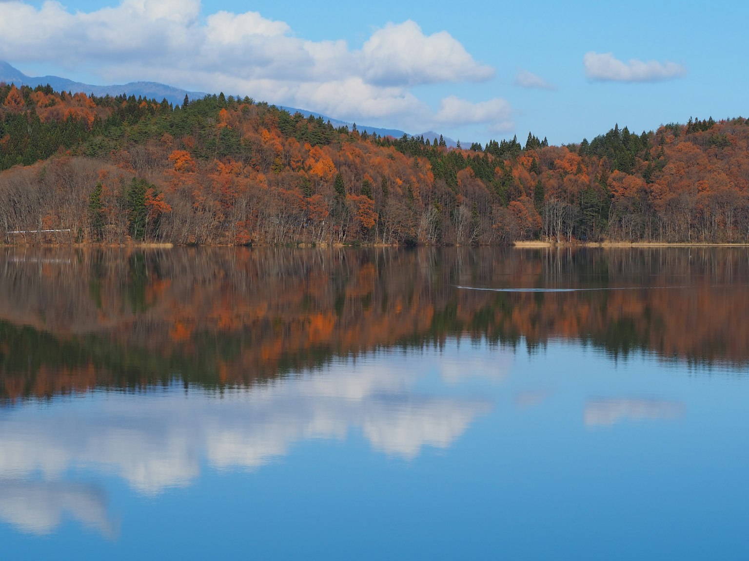 Bella riflessione del lago con fogliame autunnale