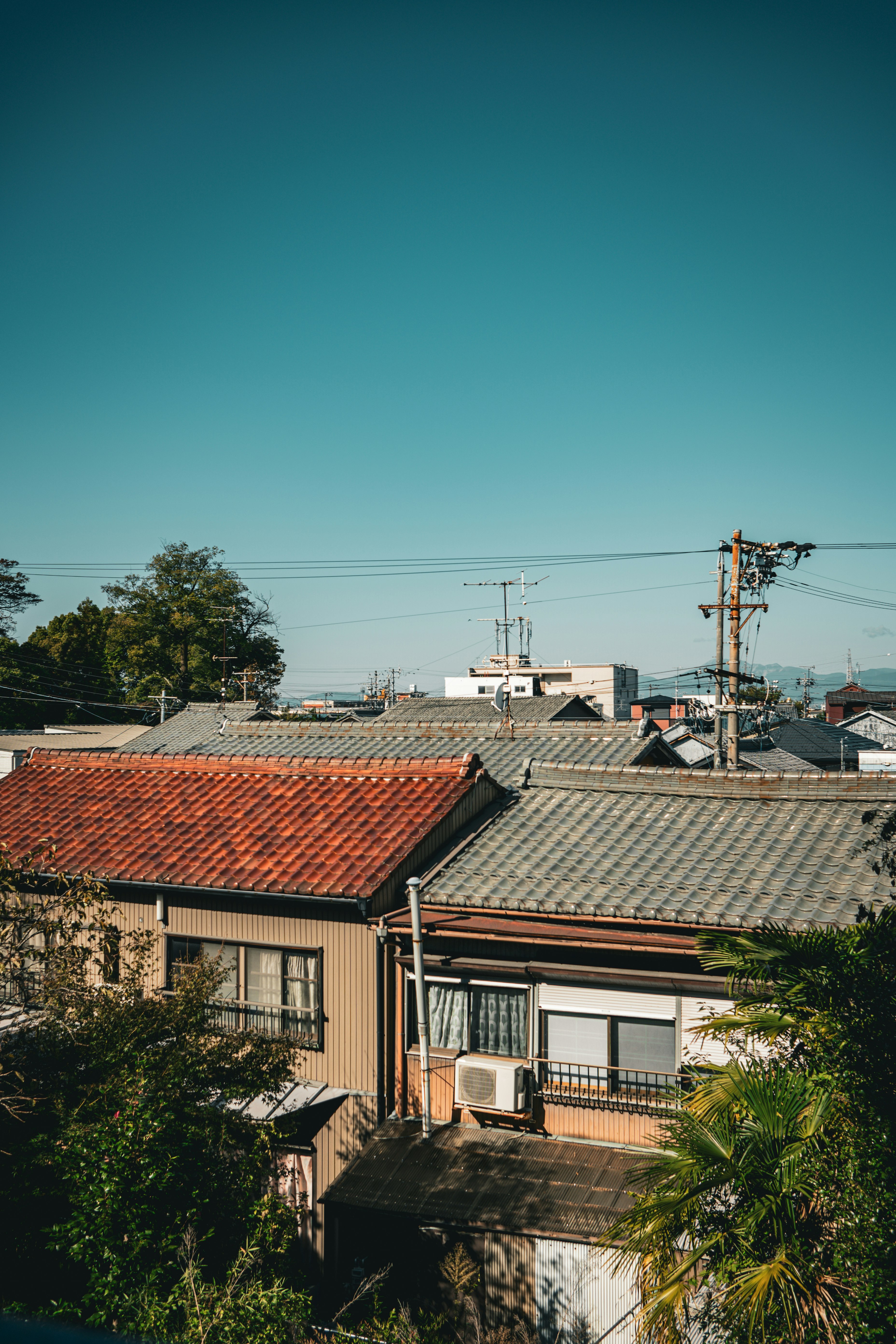 赤い屋根の家々が並ぶ住宅街の風景
