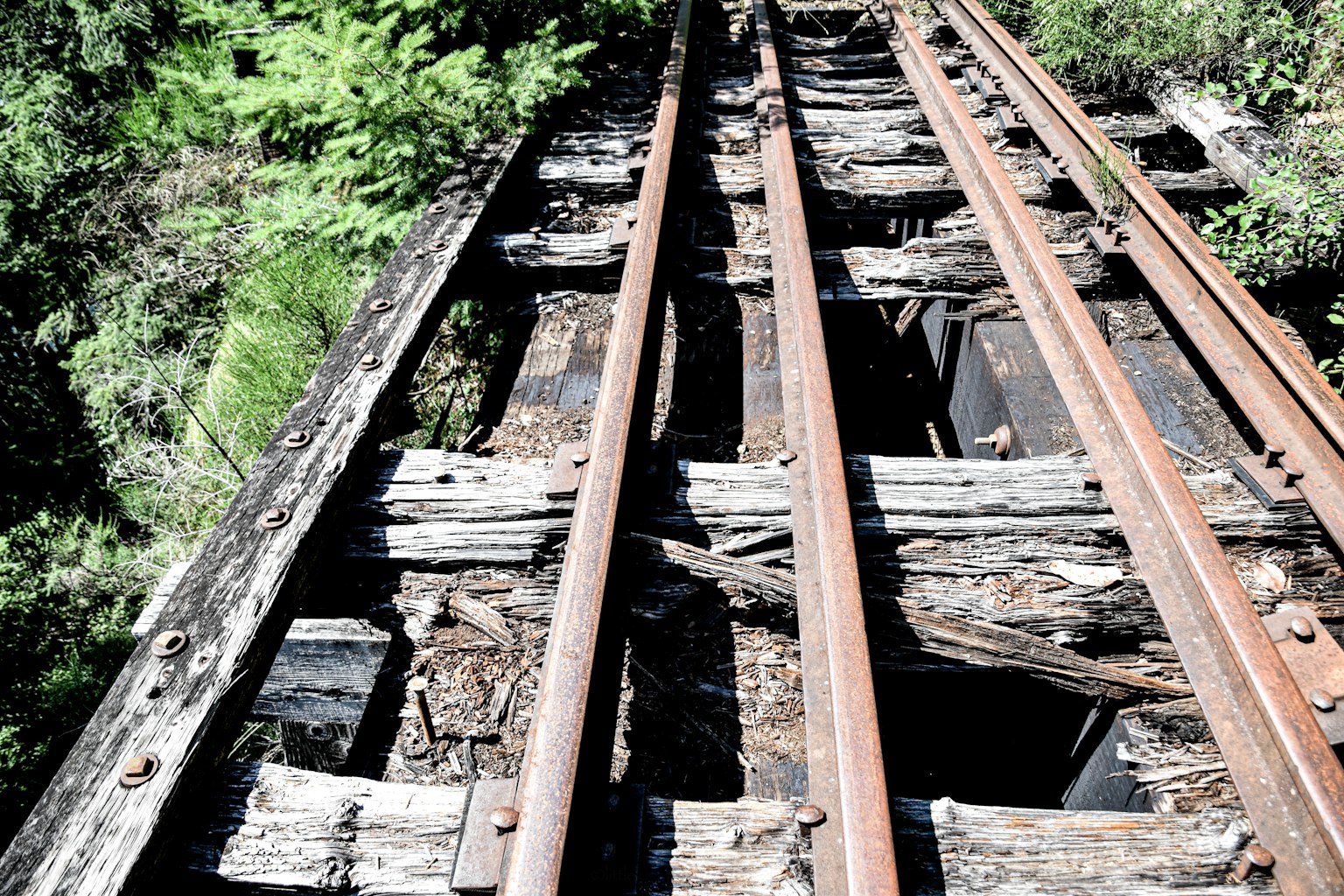 Vista di traversine ferroviarie in legno deteriorate con binari in ferro circondati da vegetazione