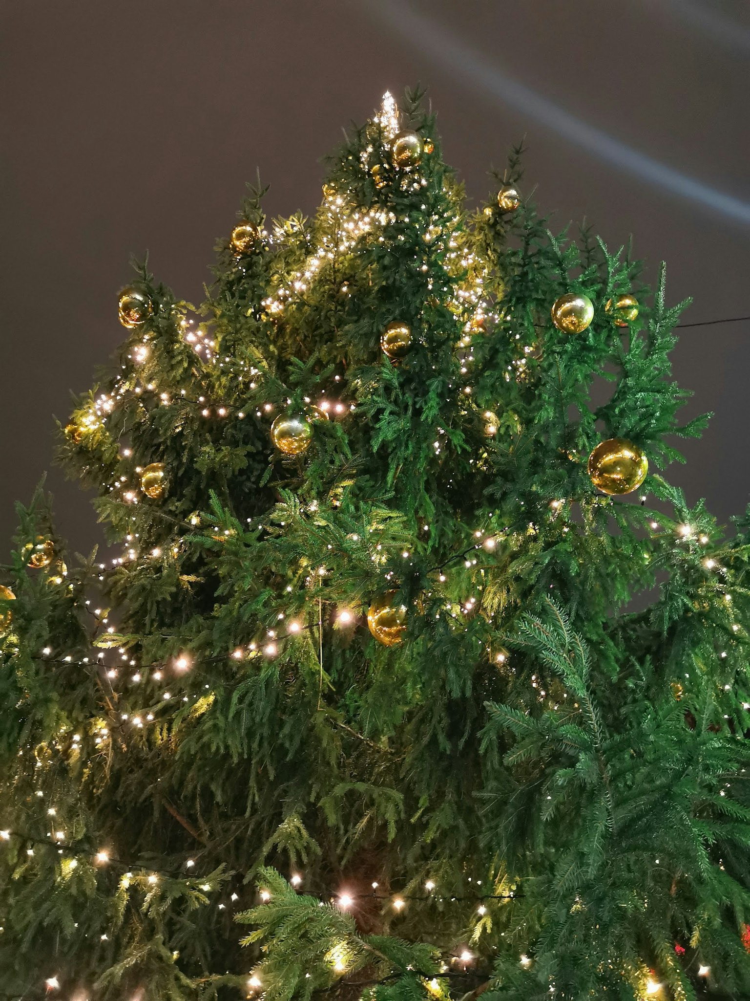 Đỉnh cây thông Noel trang trí với đồ trang sức vàng và đèn