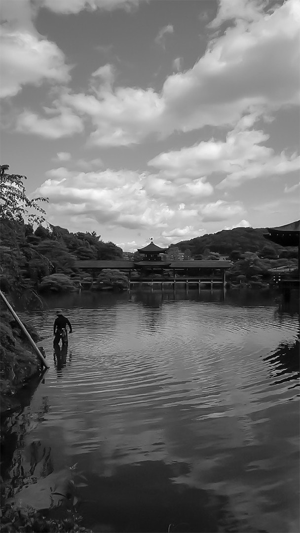 京都の川沿いに佇む寺院と水面の風景