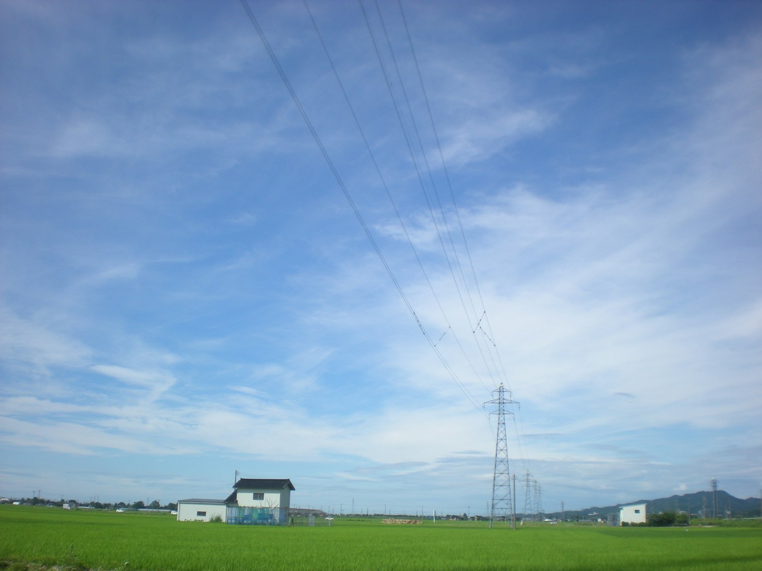 藍天和白雲下的鄉村景觀，房子和電線