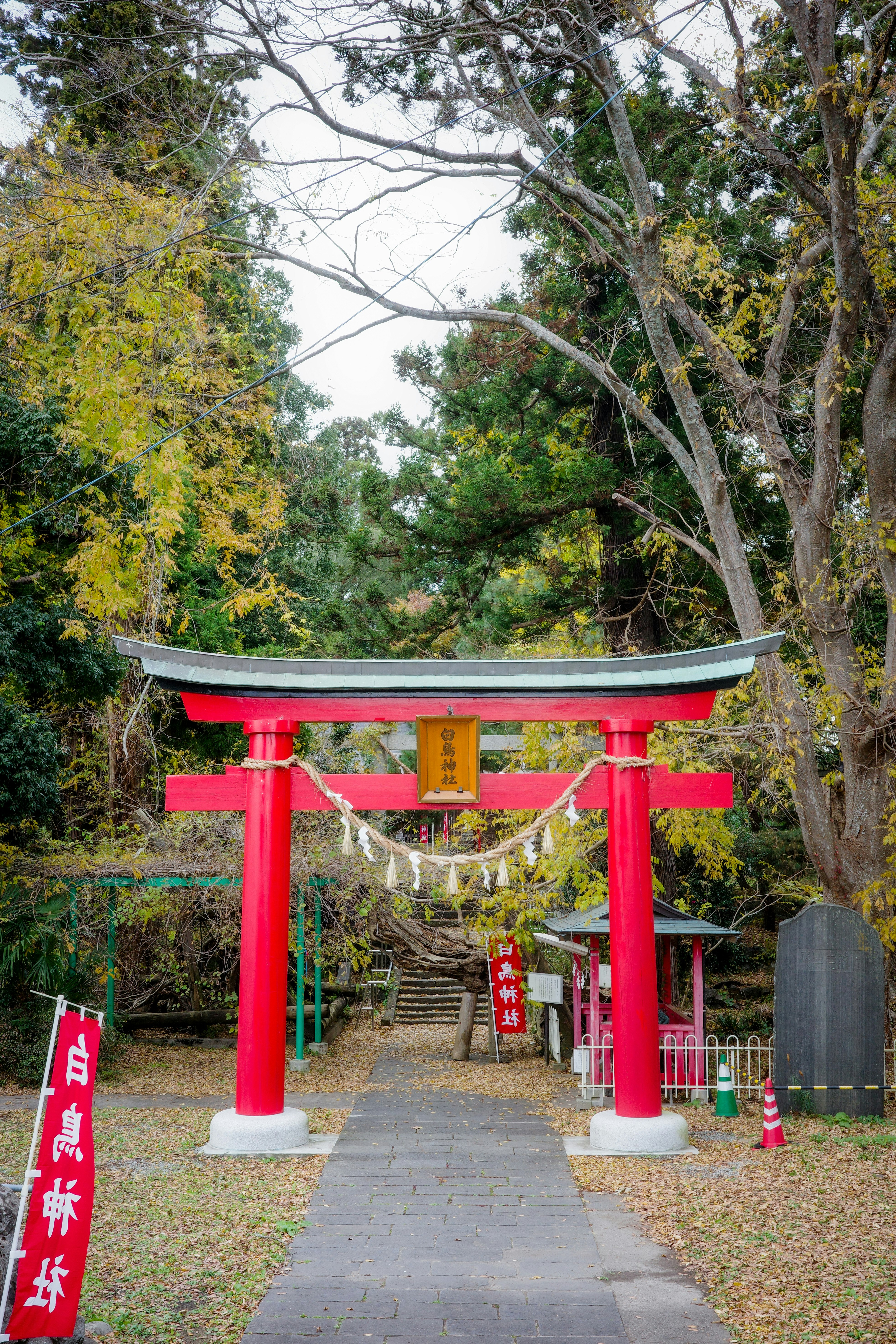 Rotes Torii-Tor entlang eines Waldwegs und eines gepflasterten Pfads