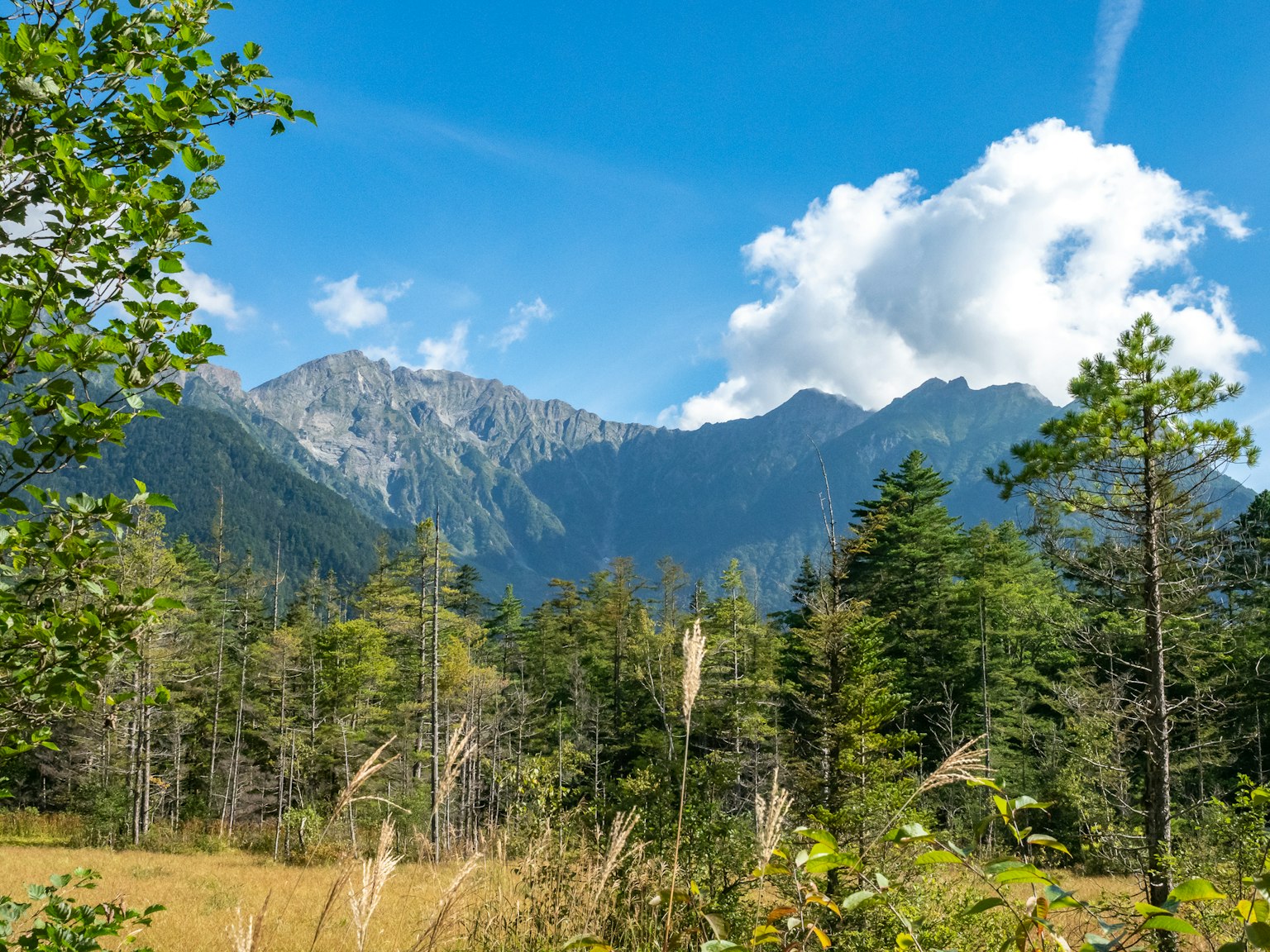 Beautiful mountains and green trees under a blue sky with white clouds