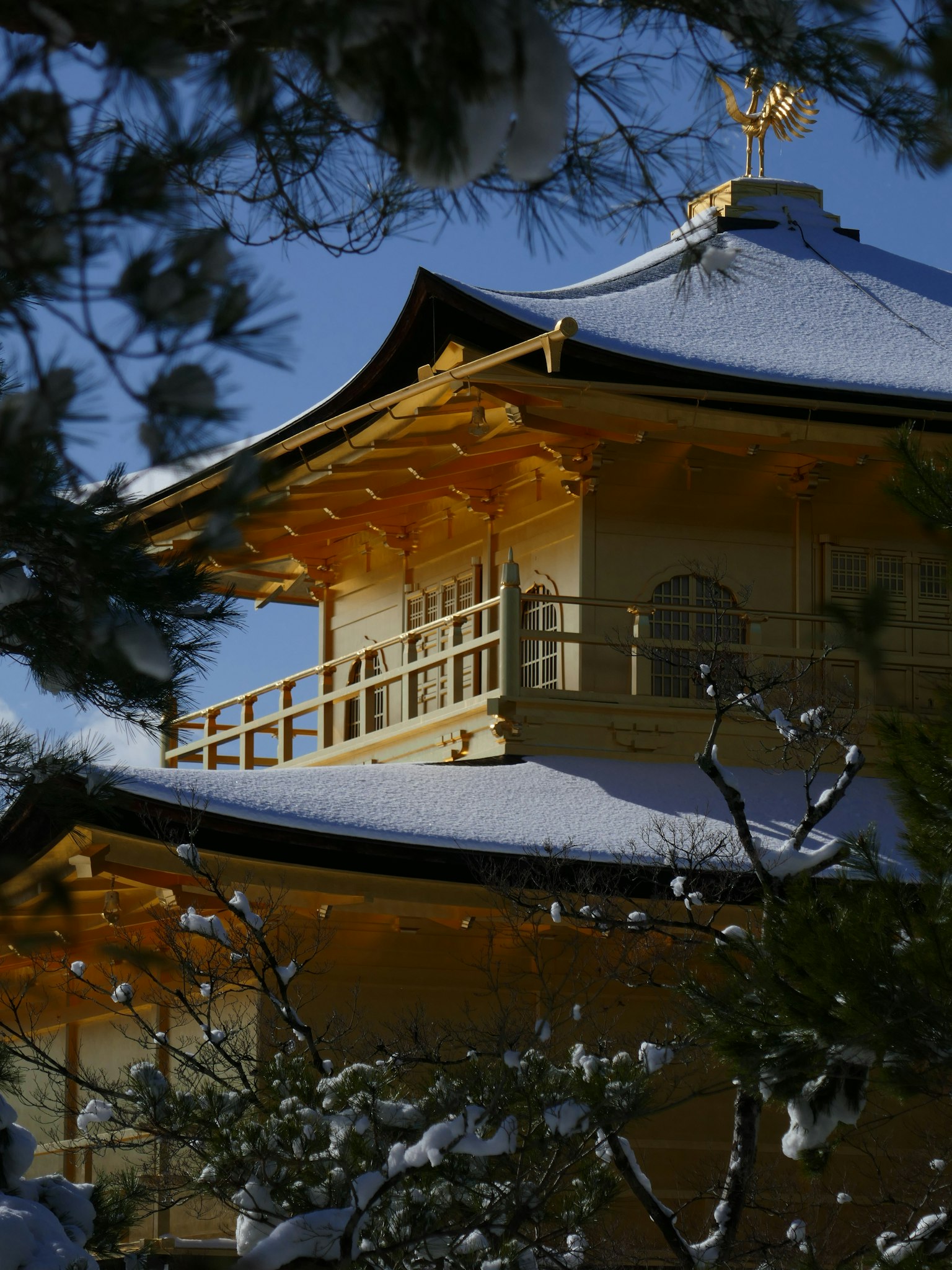 photo-GfVZXINt0o02bASRyboV-image