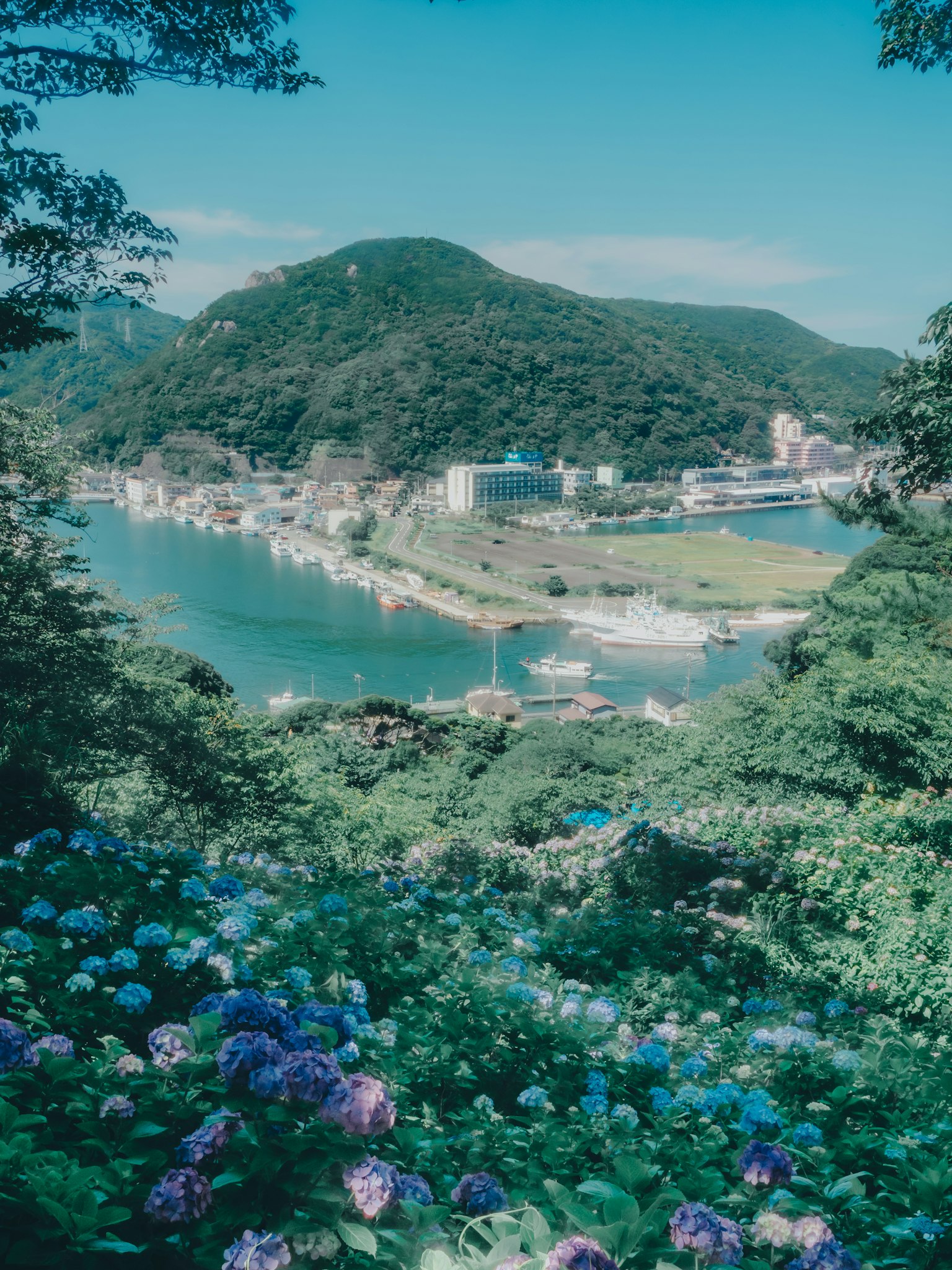 Scenic view of mountains and sea under a blue sky flowers blooming on a green hillside