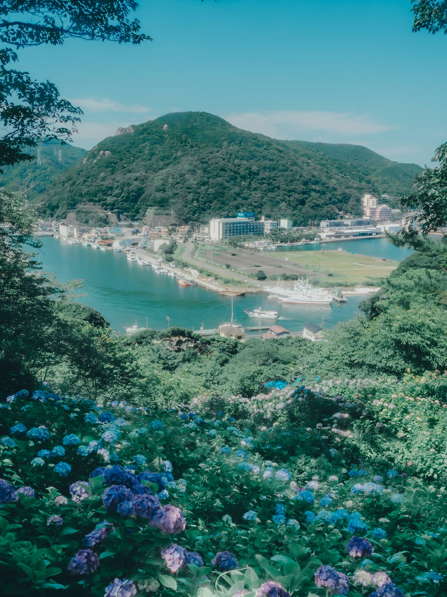 photo-GflZUWp3tLYdEkk4lNFr-image