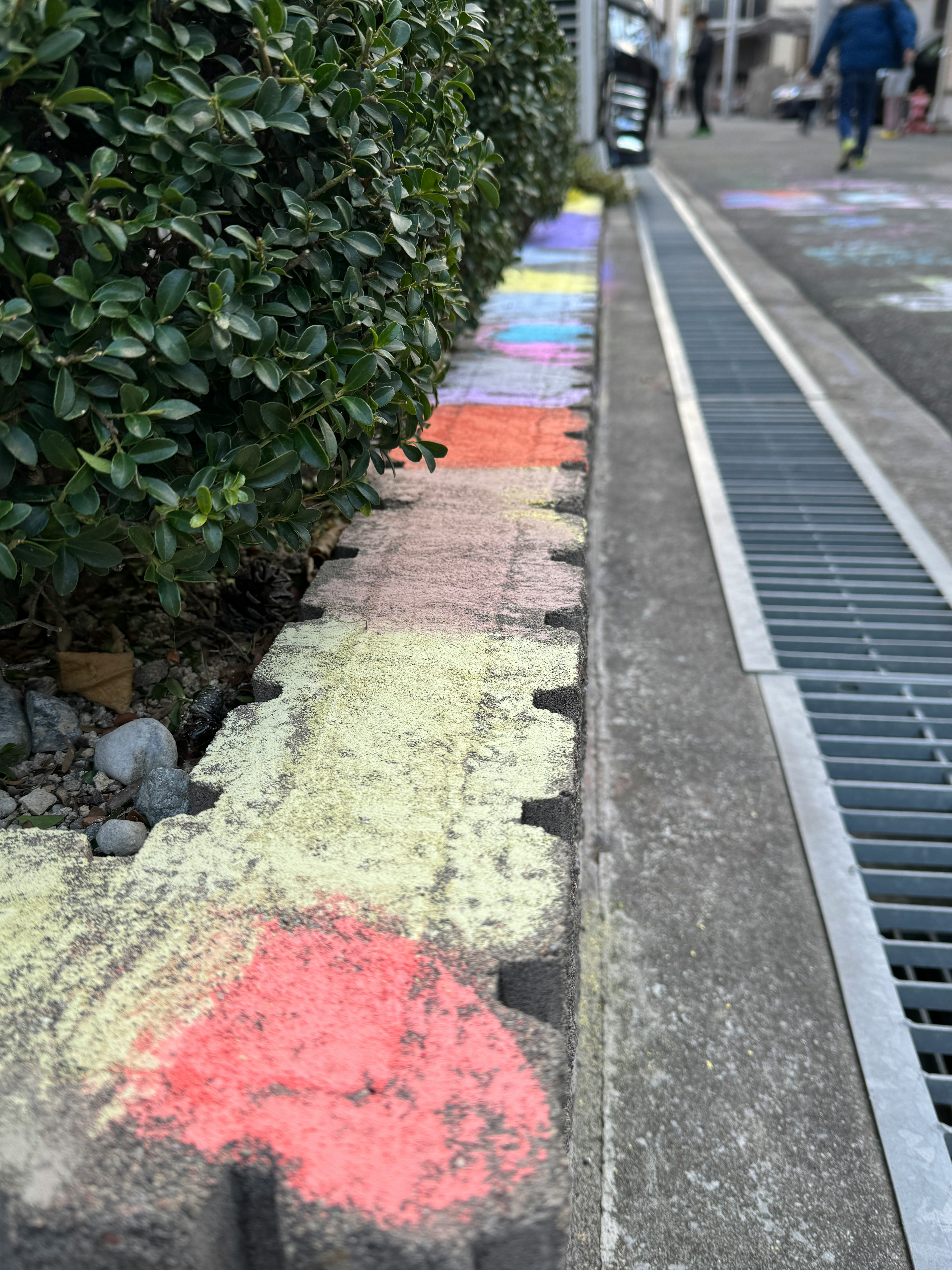 植栽の並ぶ歩道と排水溝のある街路
