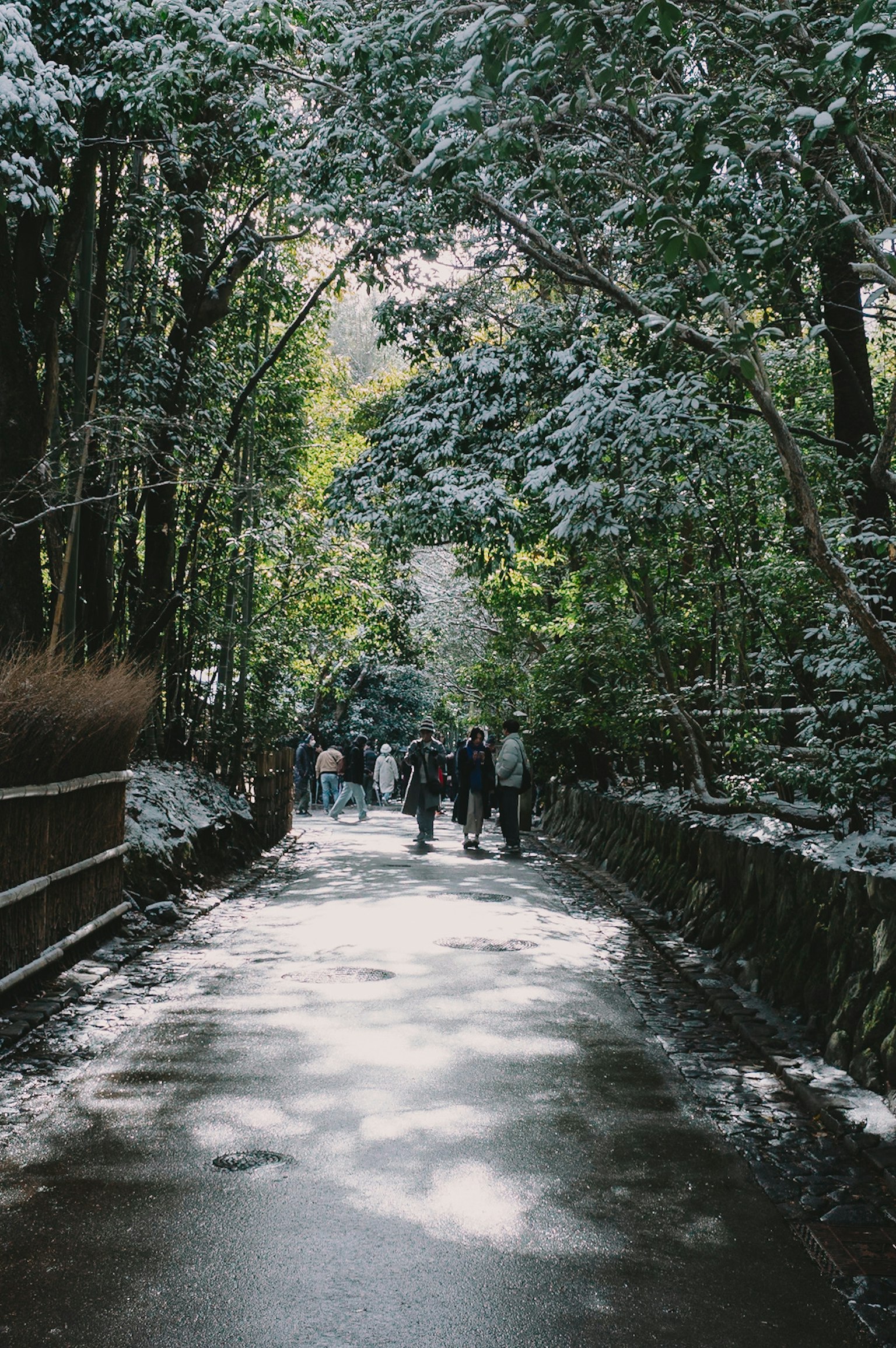 被雪覆盖的小路上行走的人和郁郁葱葱的绿树
