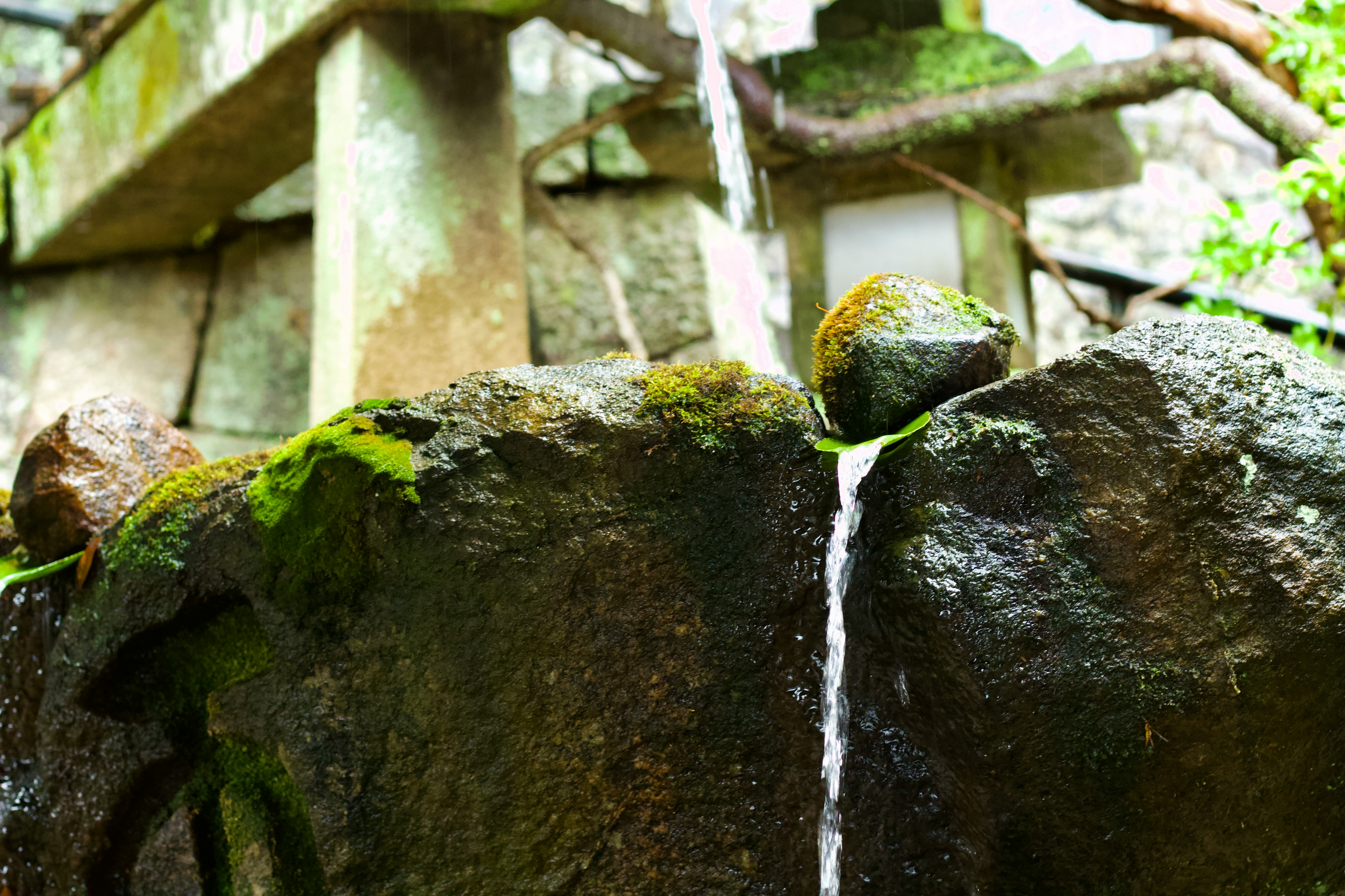 苔むした石の水が流れる手水鉢のような景色