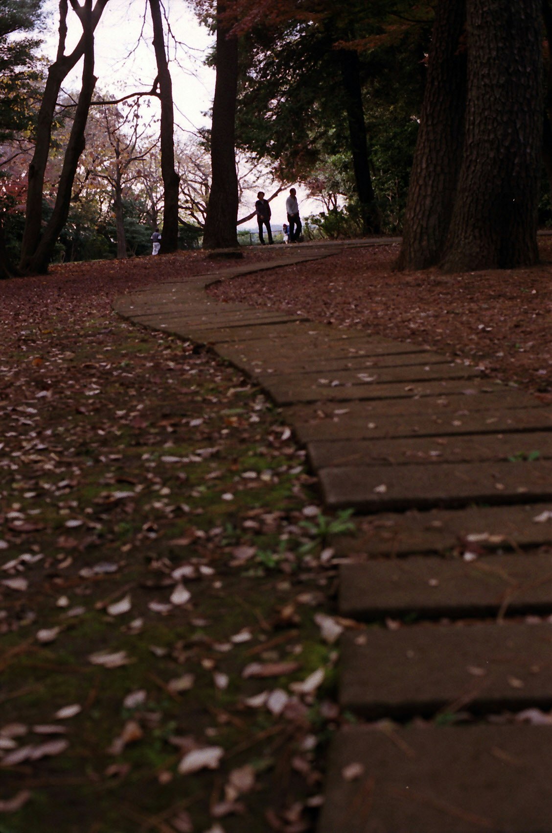 落ち葉の並ぶ公園の小道と木々の間を歩く人