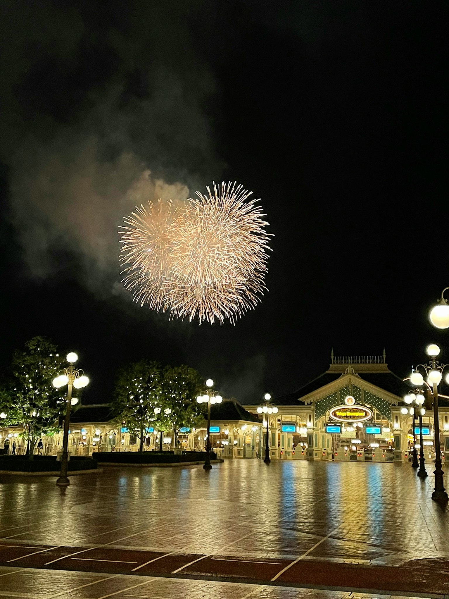 烟花照亮夜空，公园内有明亮的路灯