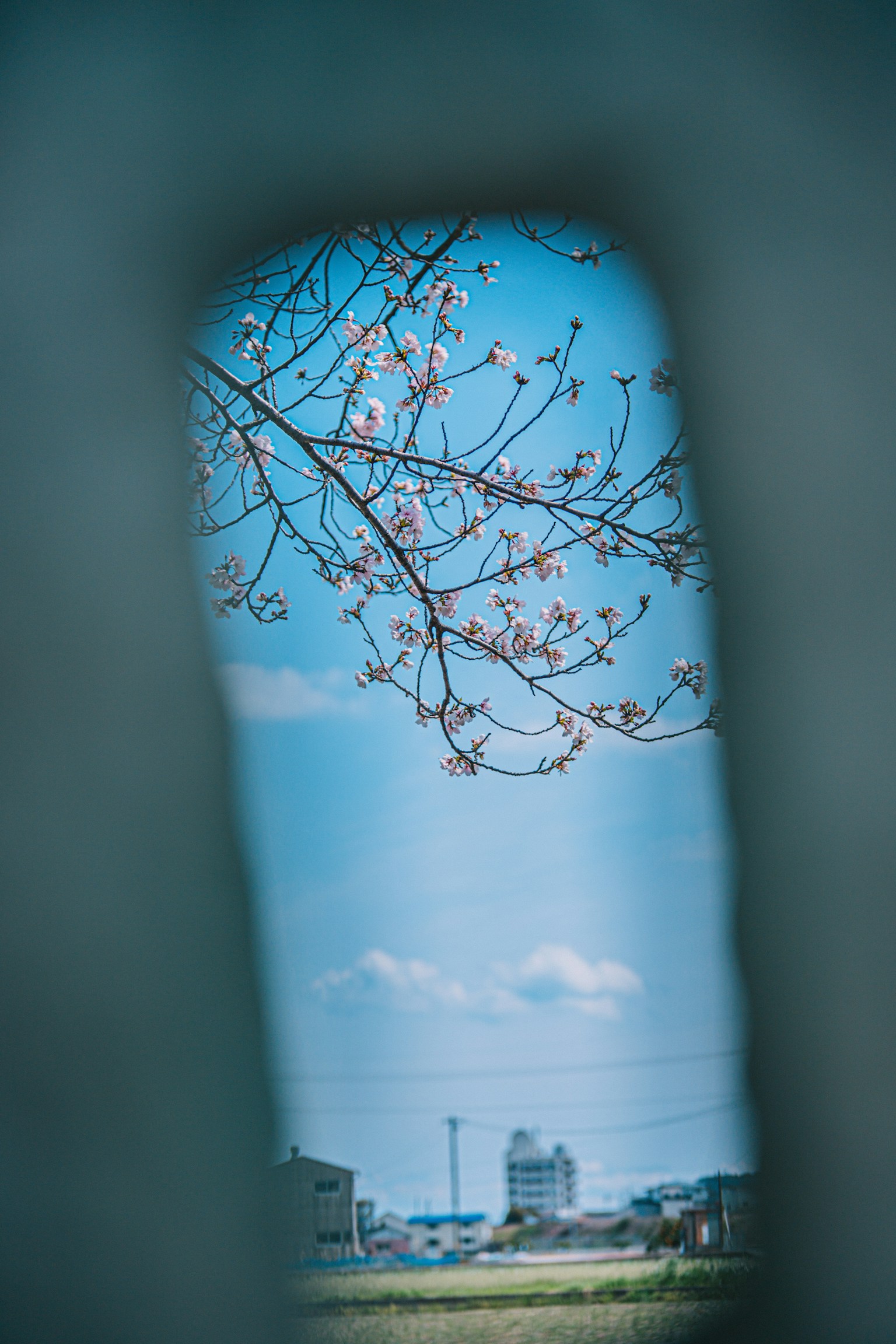 Vue à travers une ouverture en pierre avec des fleurs de cerisier et un ciel bleu
