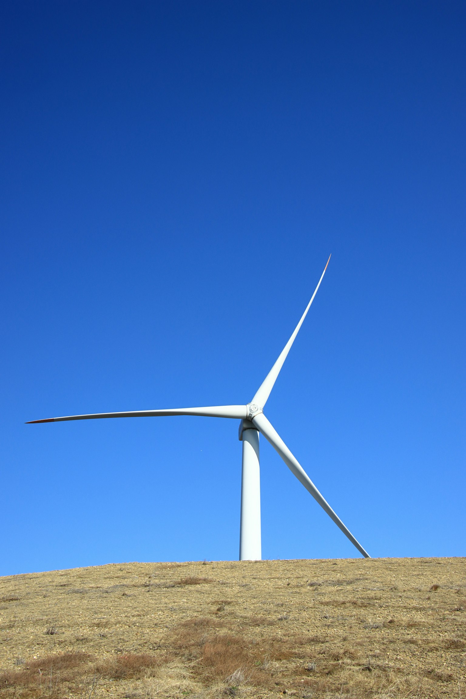 Image d'une éolienne se tenant sous un ciel bleu