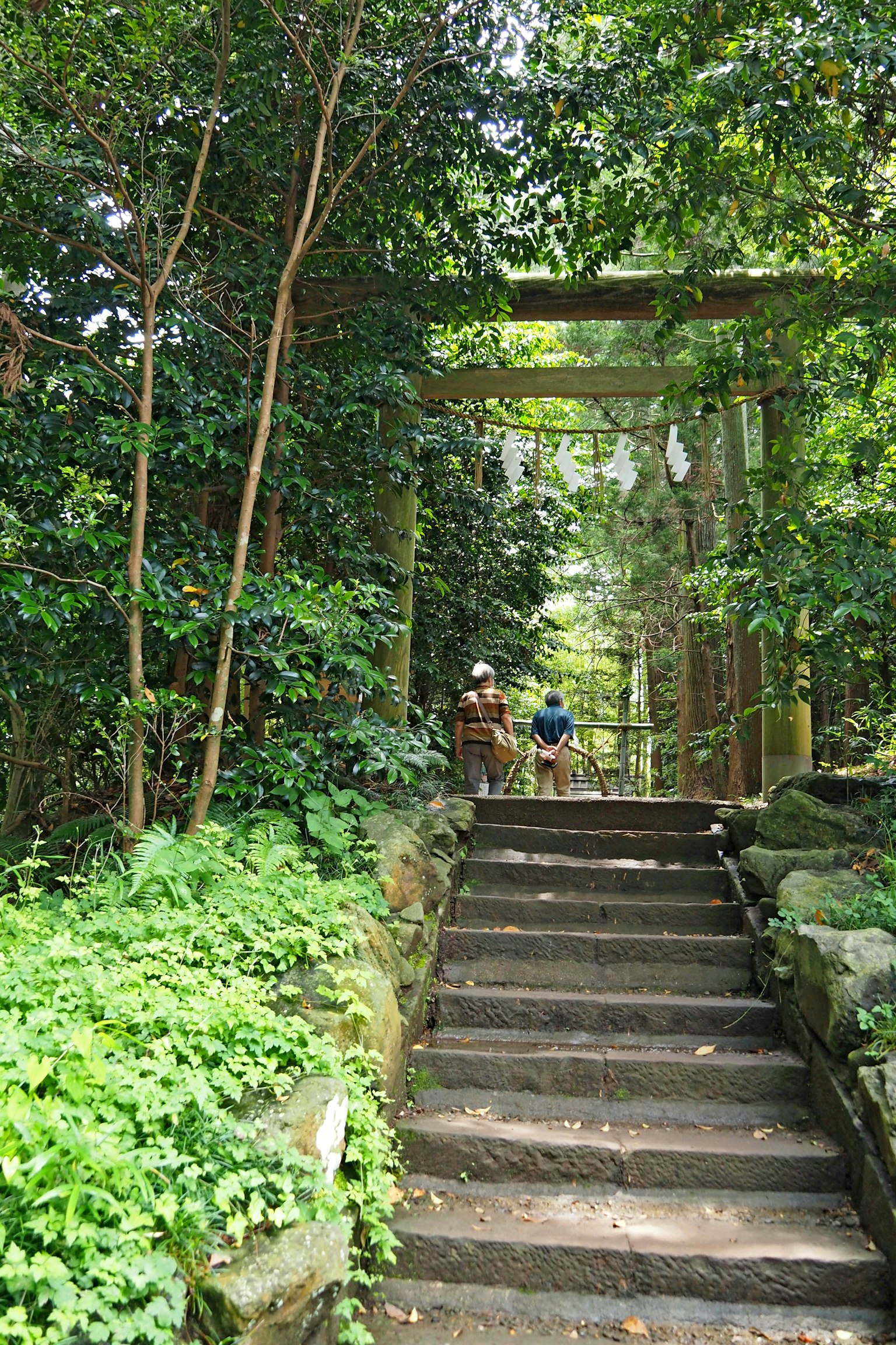 Cầu thang đá dẫn qua một khu rừng tươi tốt với cổng torii ở phía sau