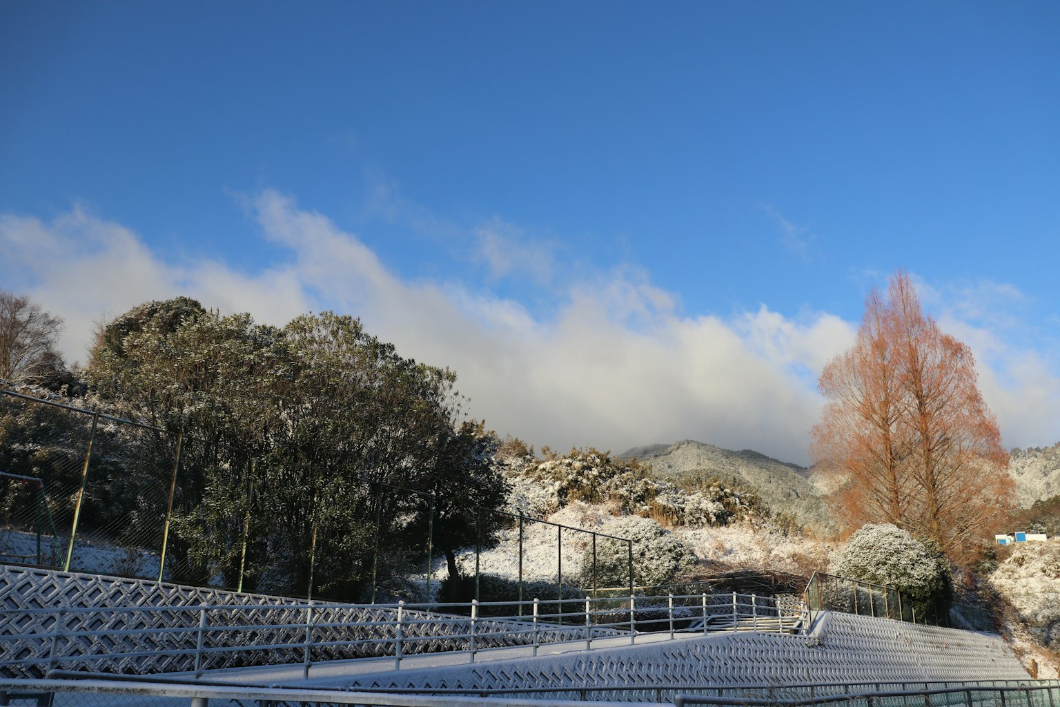 Schneebedeckte Landschaft mit Bäumen und Bergen unter einem blauen Himmel