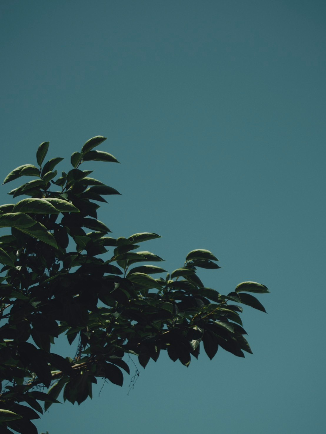 photo-GjXeZStCSKwnb0oxC7KF