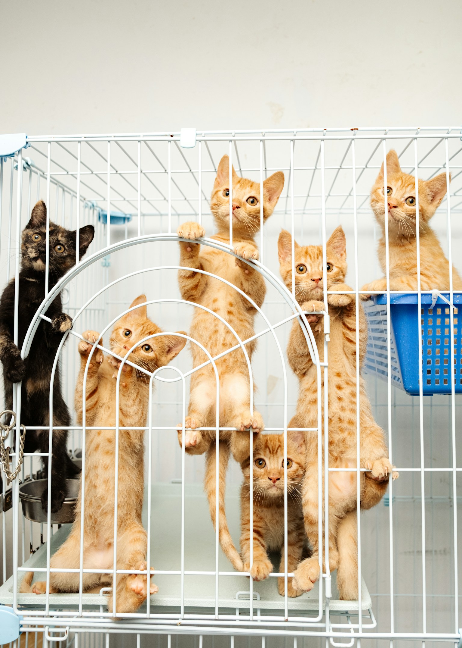 photo-Gk3pJSJ7ceGxz7TTeKQw-image