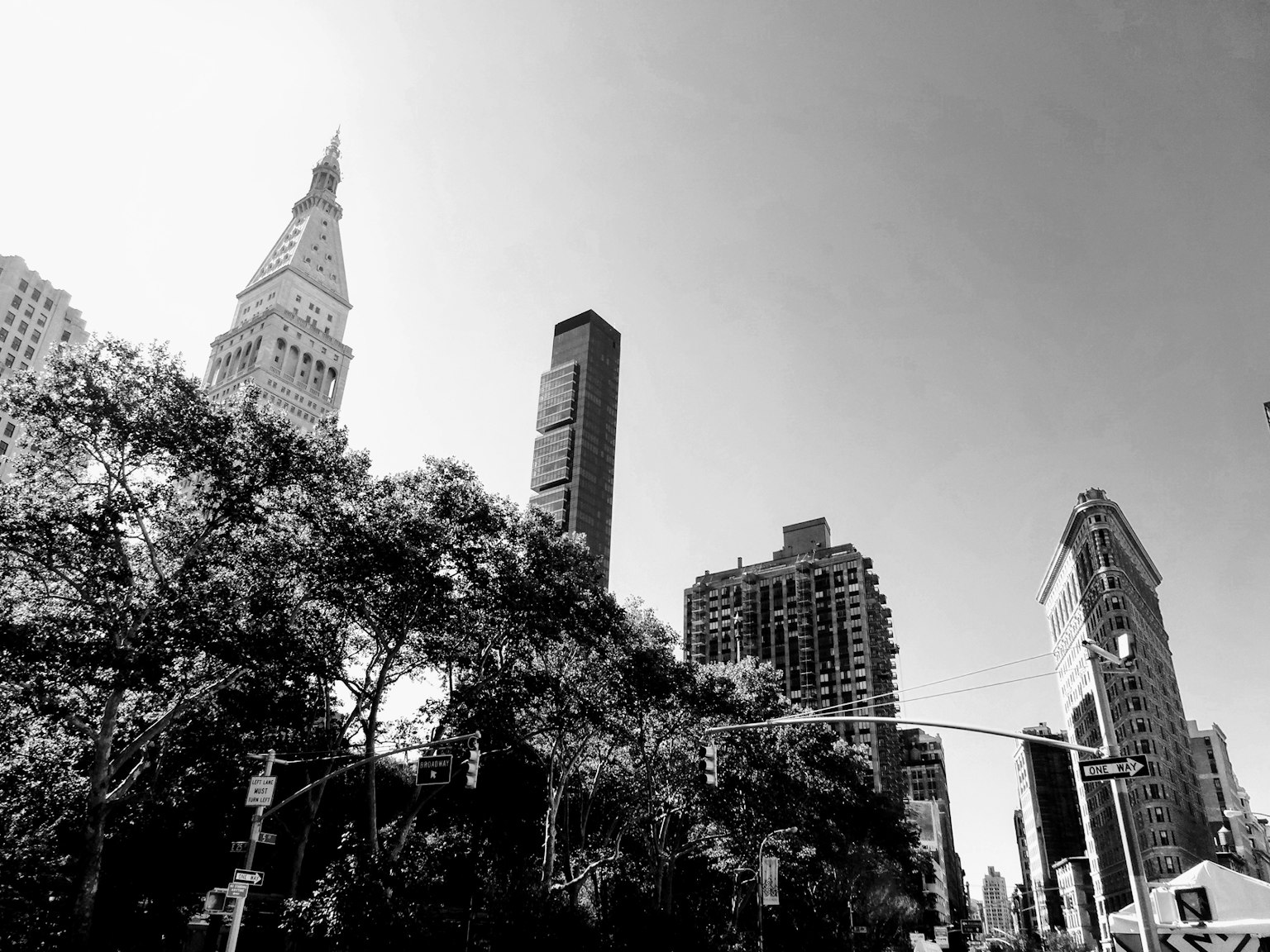 Paesaggio urbano in bianco e nero con grattacieli e alberi verdi
