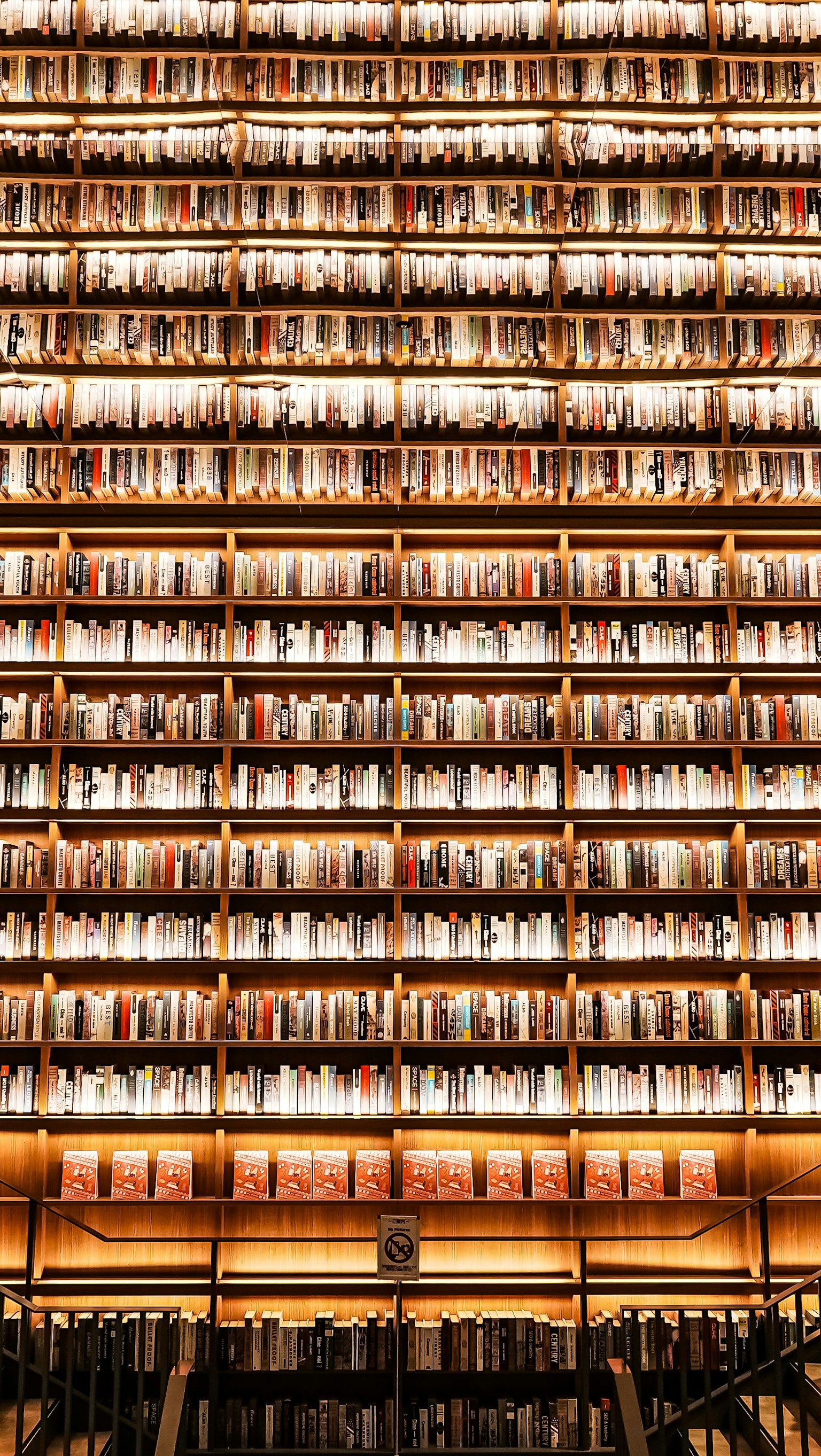 Interior de una biblioteca con una gran estantería llena de libros ordenados