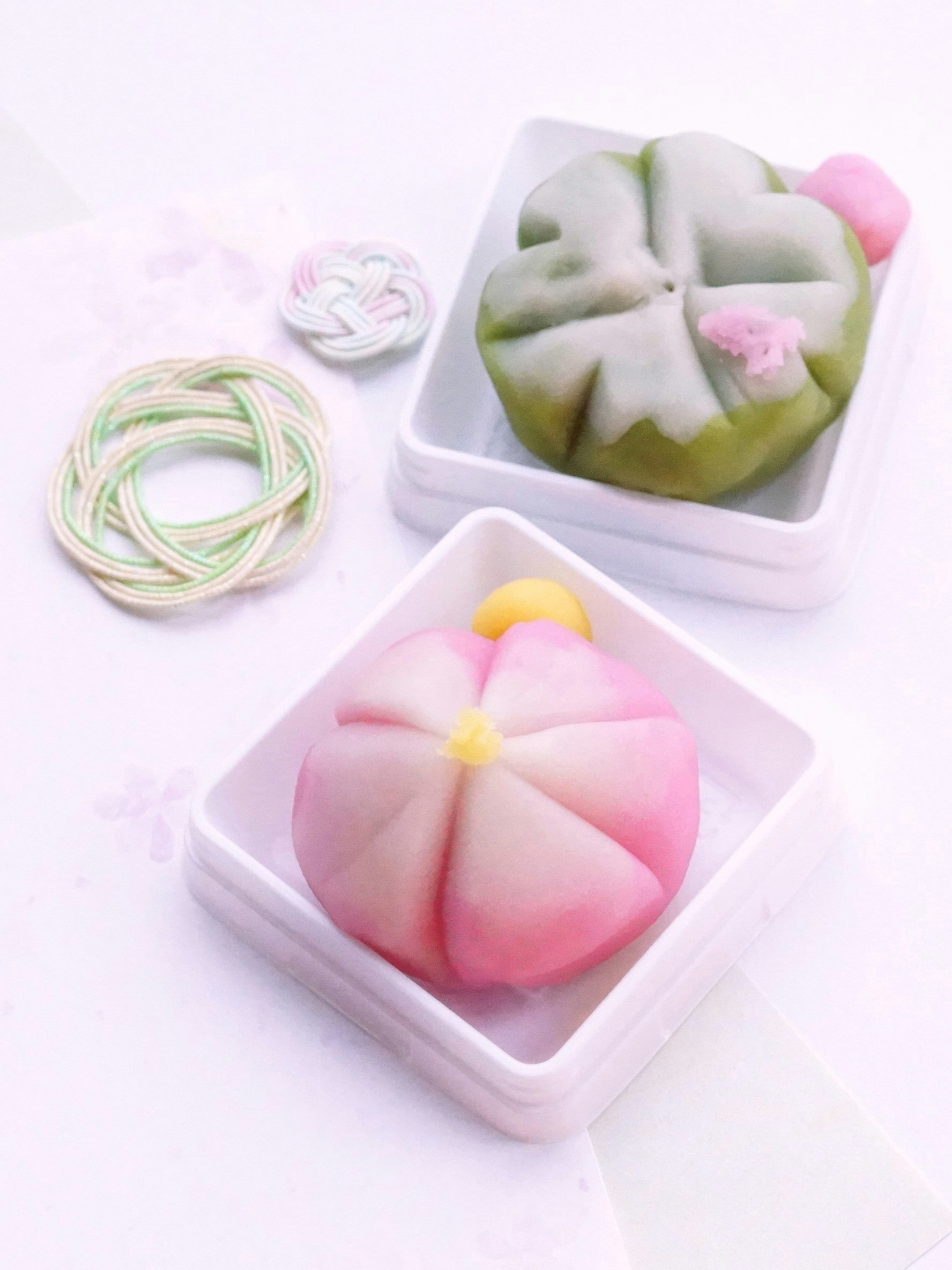 白いトレーに並ぶ和菓子風の色鮮やかな手作りもち