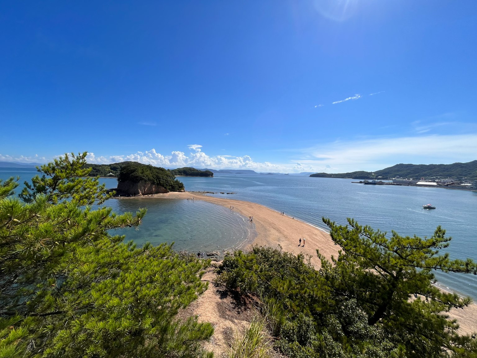 蓝天和水环绕的沙滩风景，绿树成荫