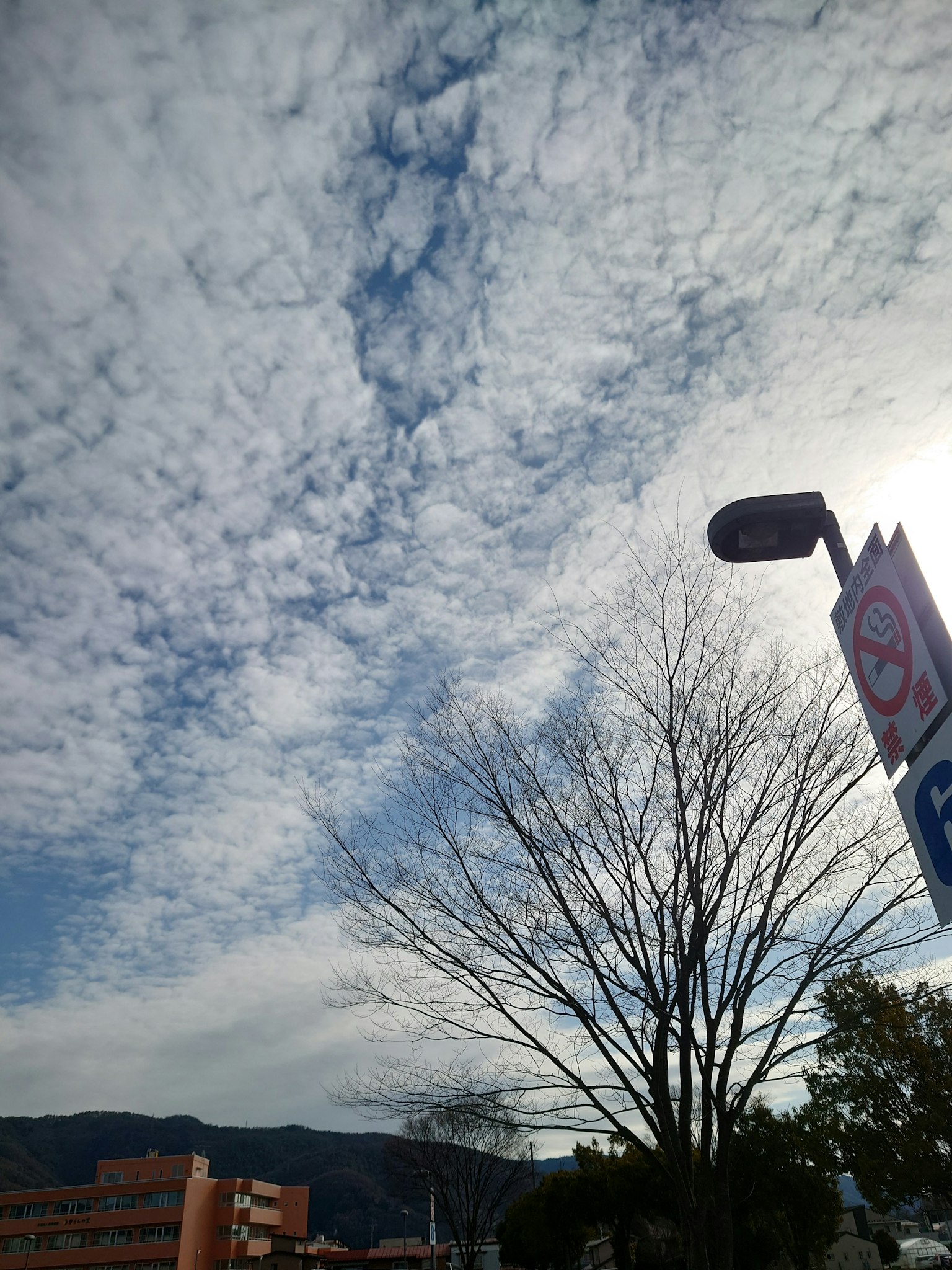 Un cielo blu pieno di nuvole bianche con un lampione e un albero