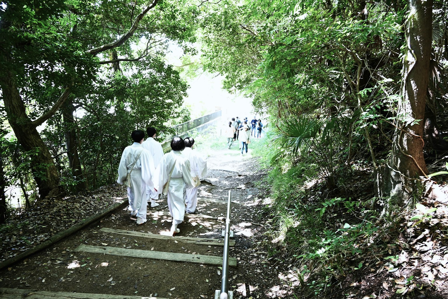 穿著白色衣服的人在森林小徑上行走