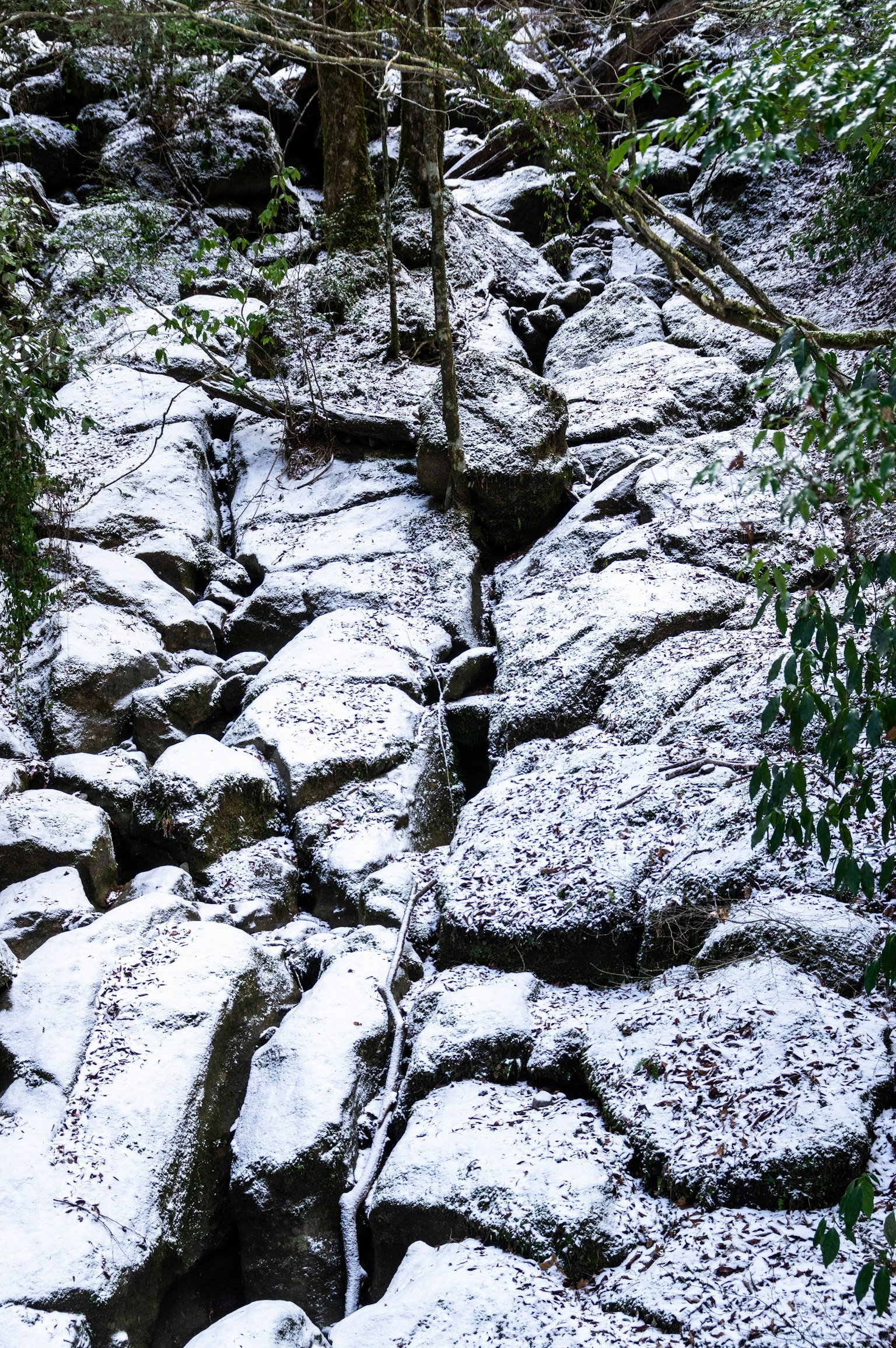 Paisaje natural que muestra rocas cubiertas de nieve y un pequeño arroyo