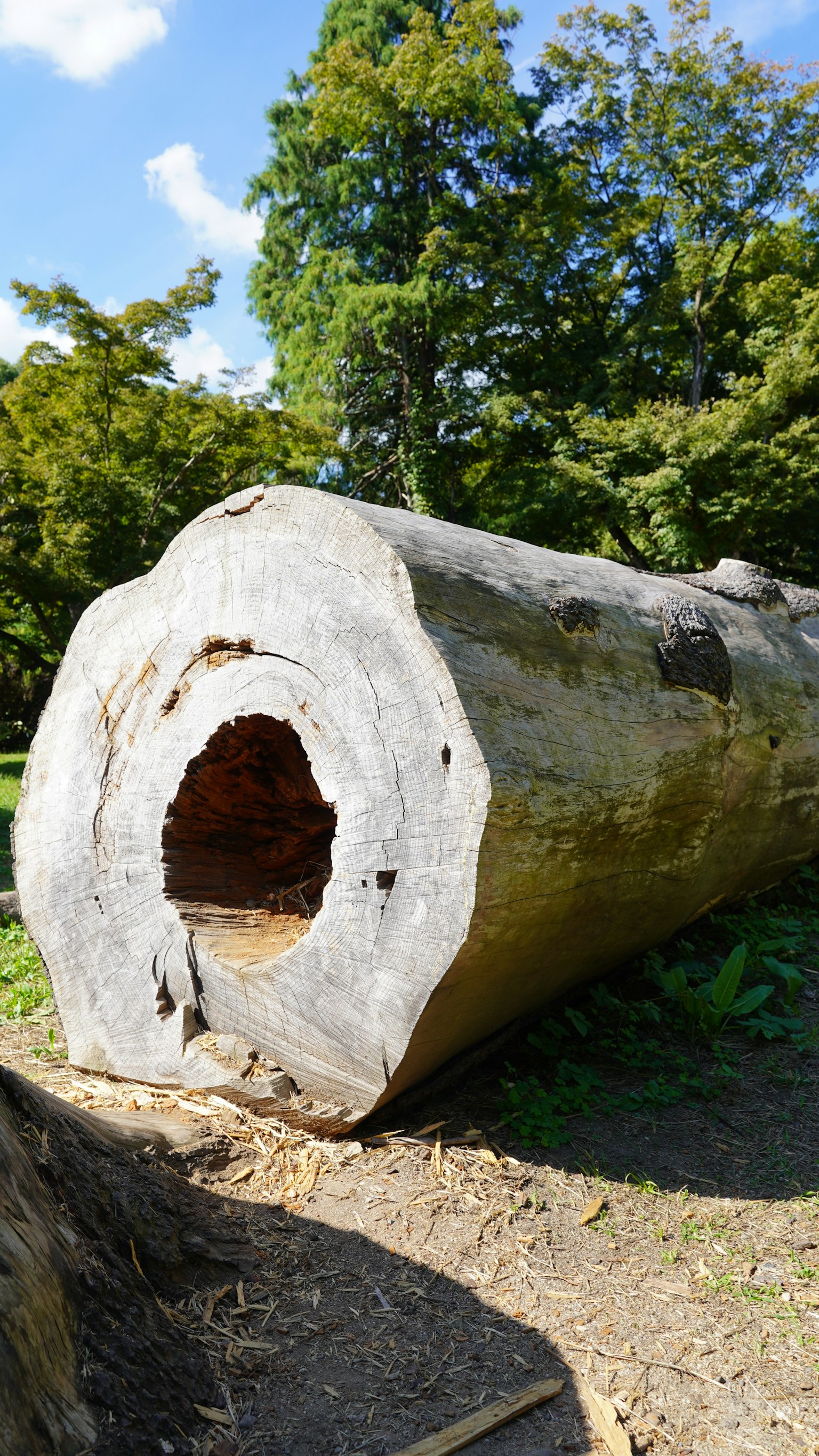 photo-Gocz32HB2gi7bezJ7g5B-image