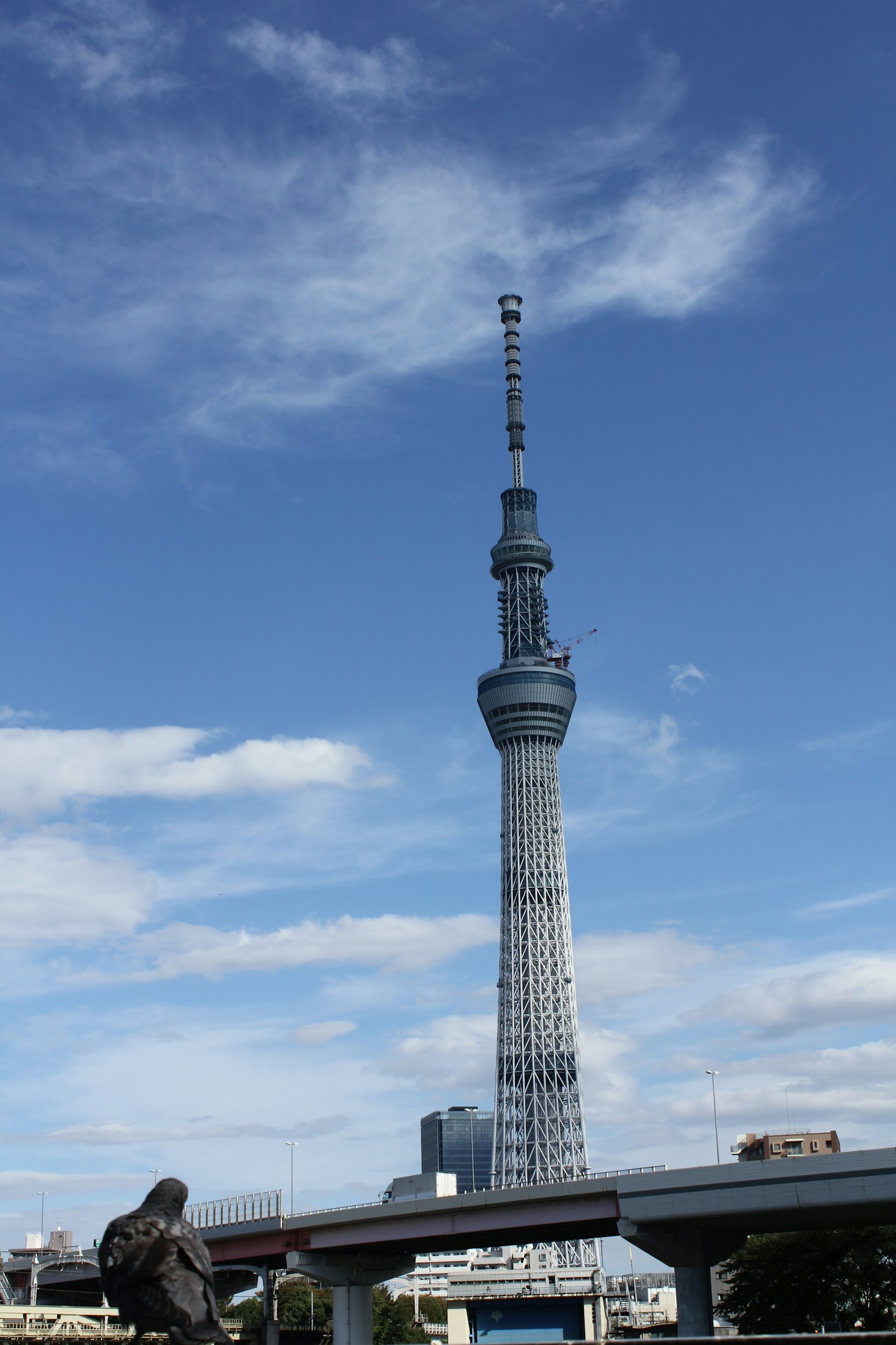 Tokyo Skytree bajo un cielo azul claro