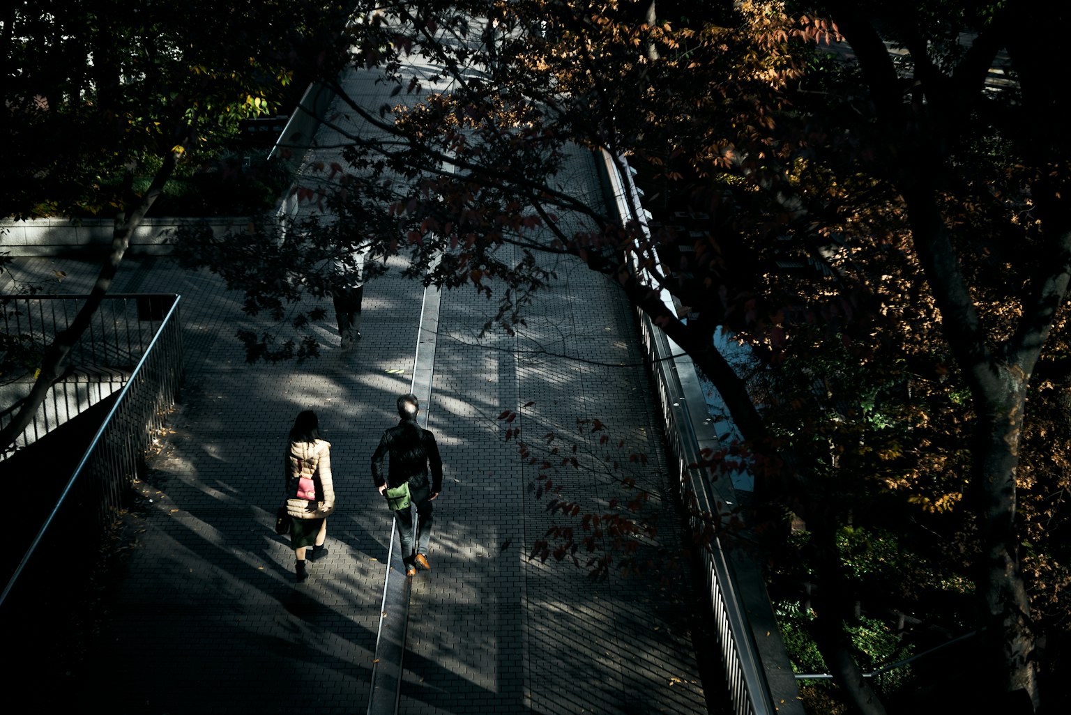 Deux personnes marchant dans un parc d'automne avec des feuilles tombées