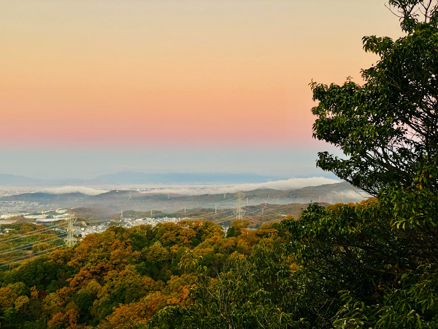 Autumn foliage covering rolling hills with a pastel sky at dusk
