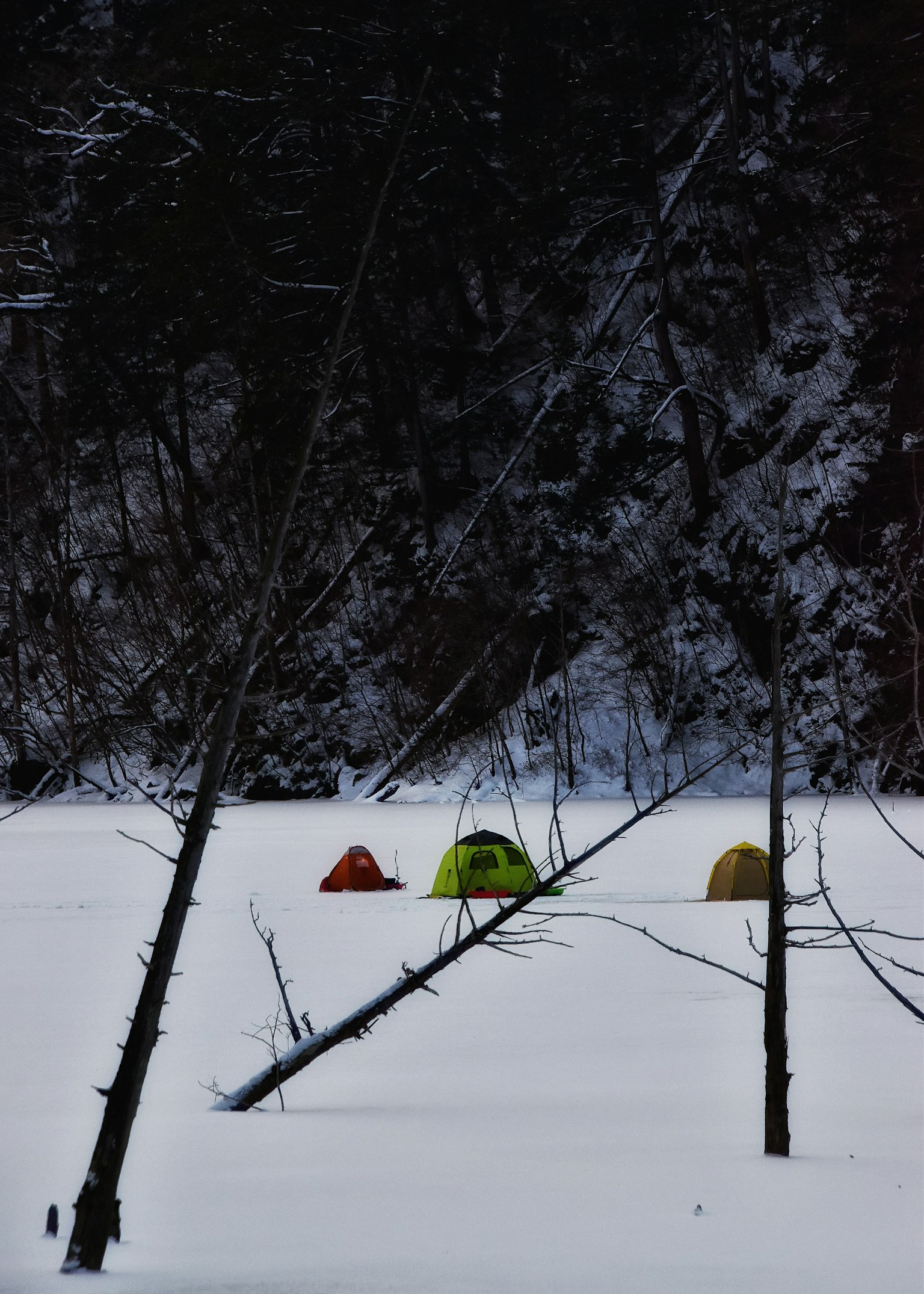 Tendencias coloridas en un campamento nevado rodeado de árboles desnudos