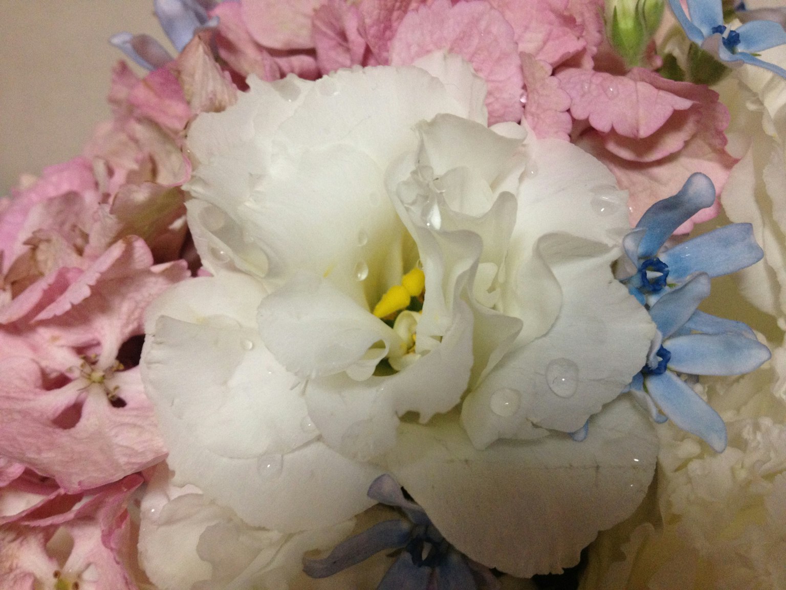 Ein Strauß bunter Blumen mit einer hervorgehobenen weißen Blume