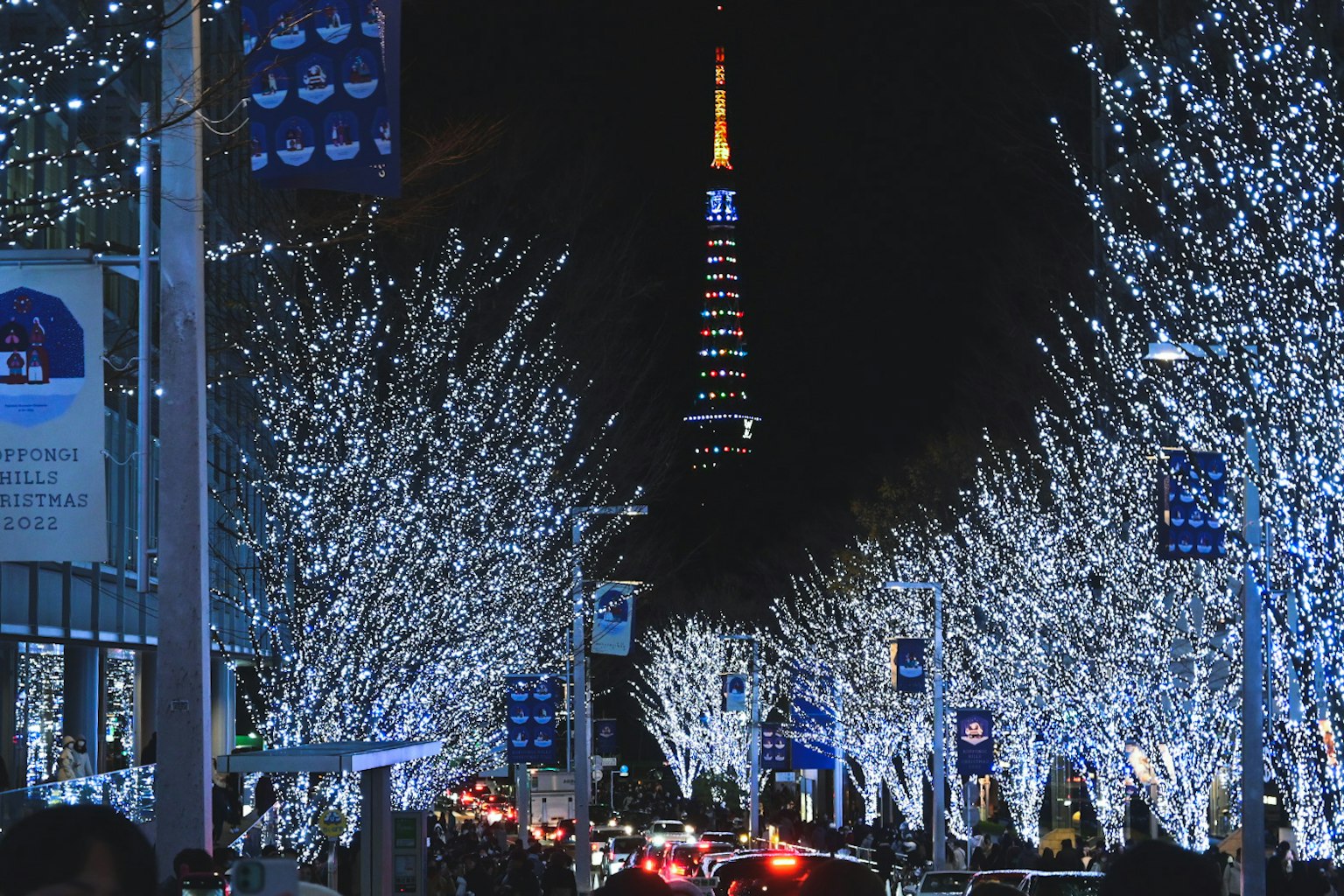 Tokyo Tower illuminated at night with trees adorned in lights lining the street