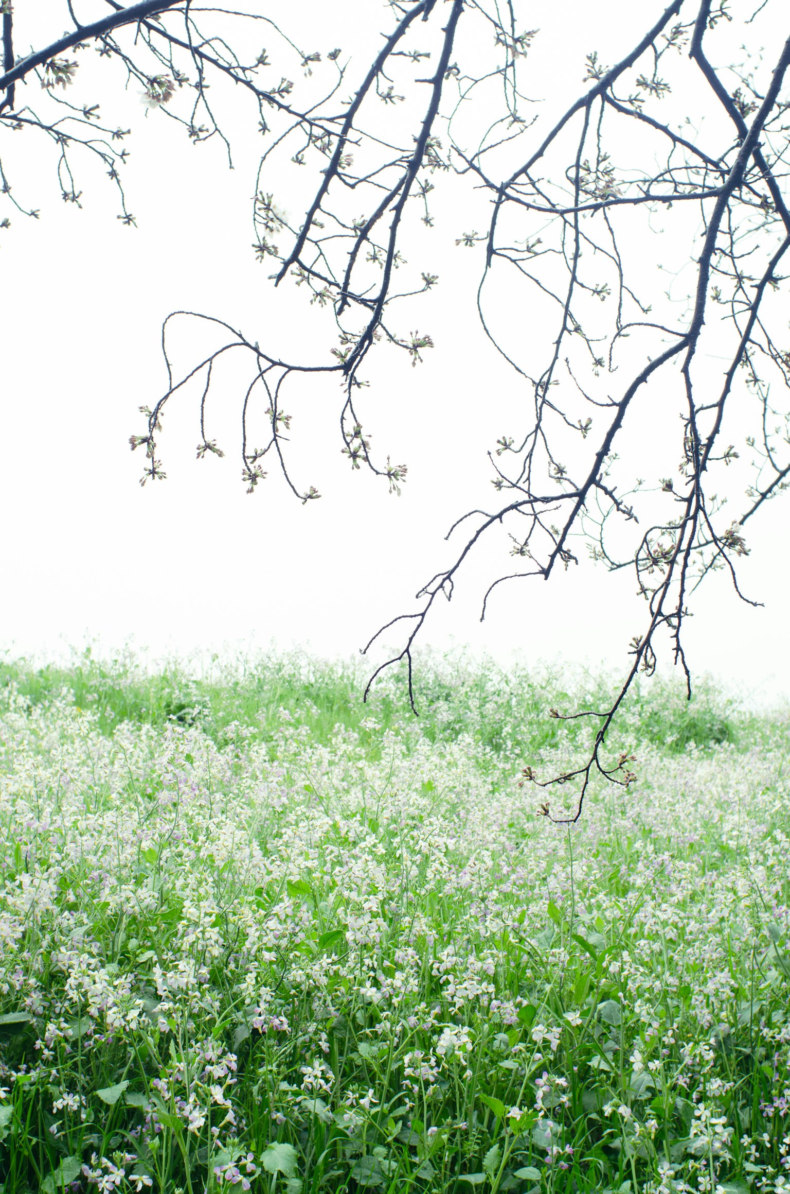 photo-GpfP03nVzHXWtPRU014K-image