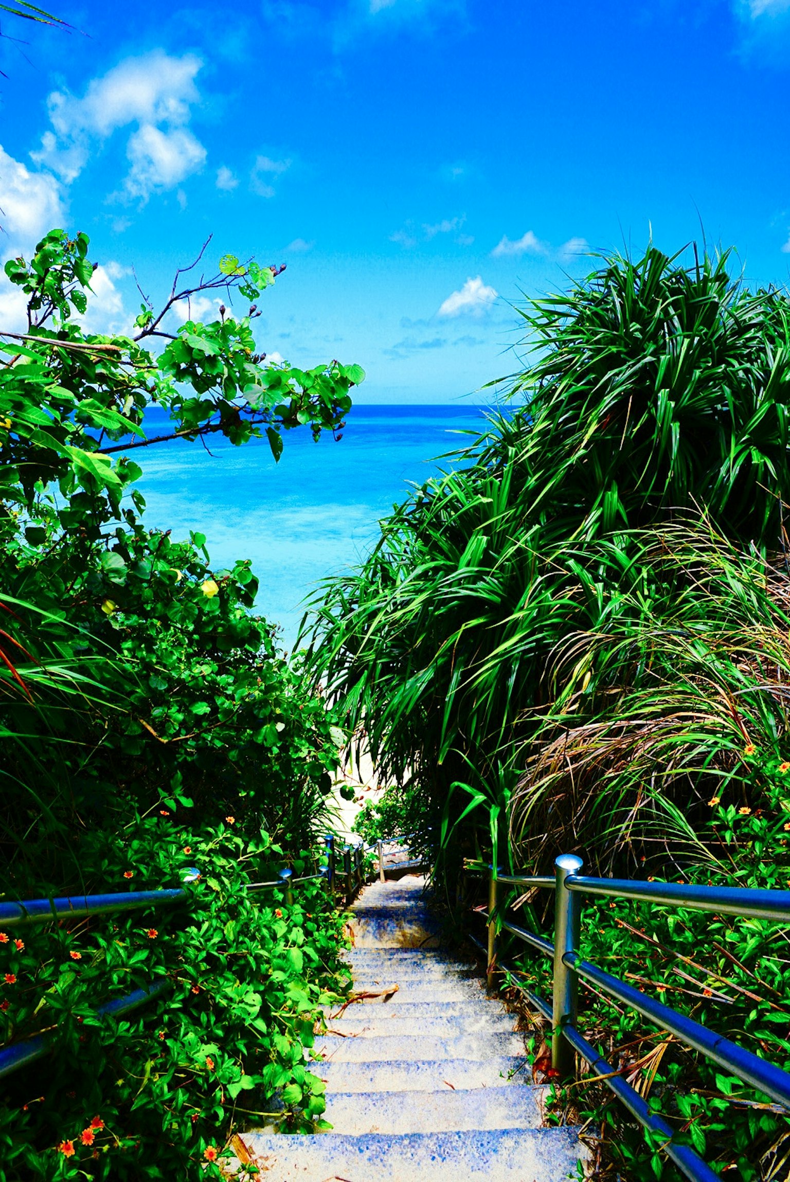 Scale che conducono a un oceano blu circondato da vegetazione lussureggiante