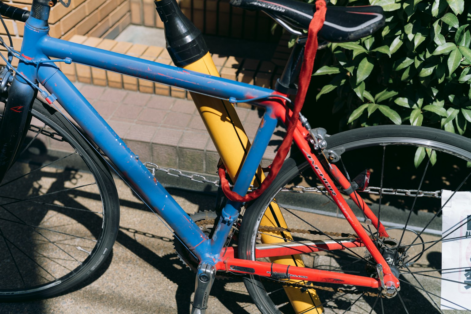 Una bicicletta blu e rossa bloccata a un palo giallo circondata da vegetazione