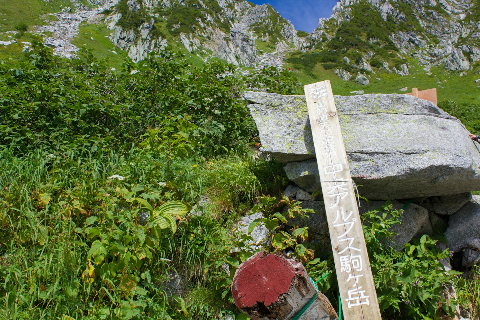 Cartello di legno in piedi tra le montagne verdi con un dispositivo rosso nelle vicinanze