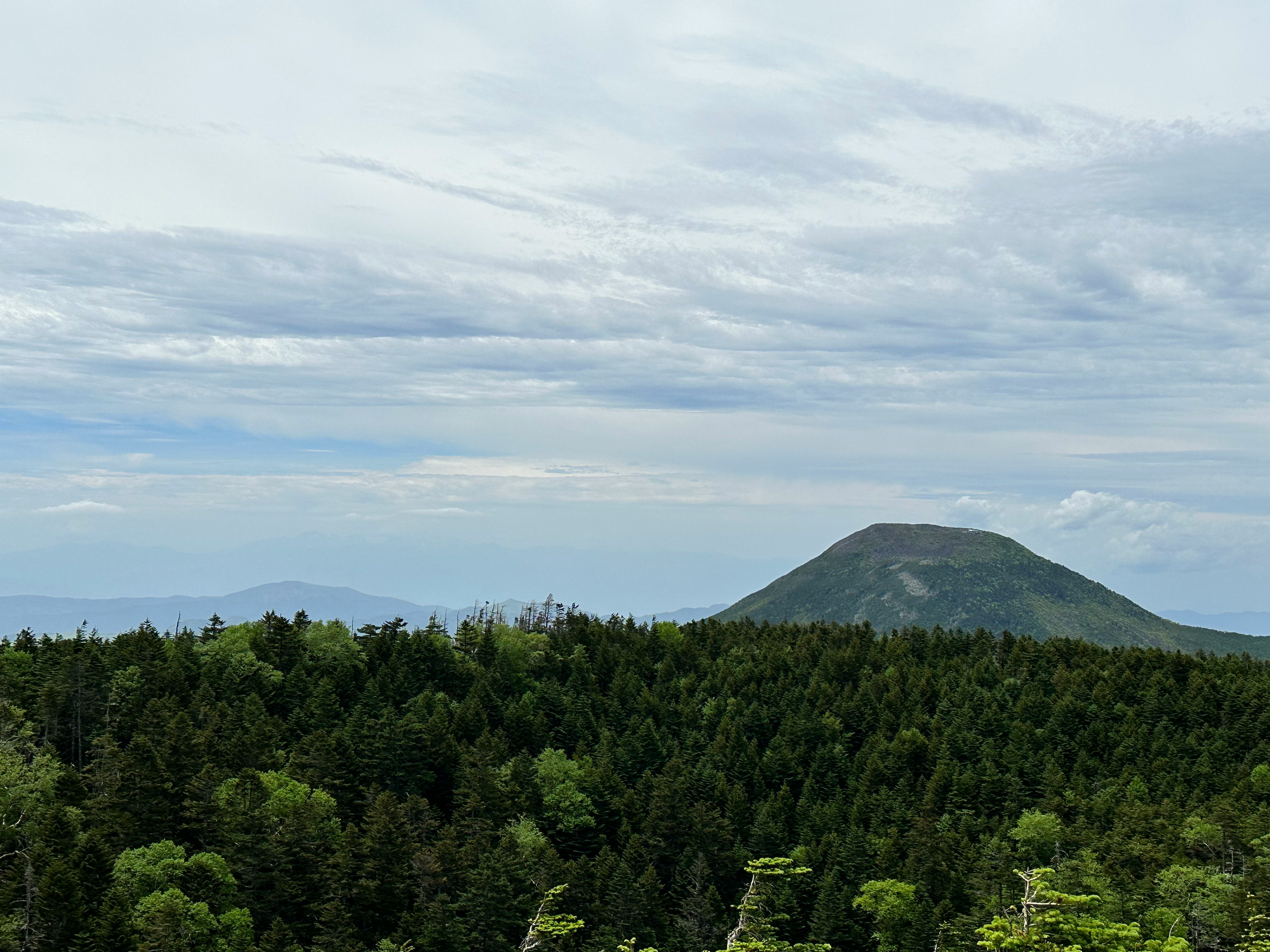 森の上にそびえる山と広がる雲の空