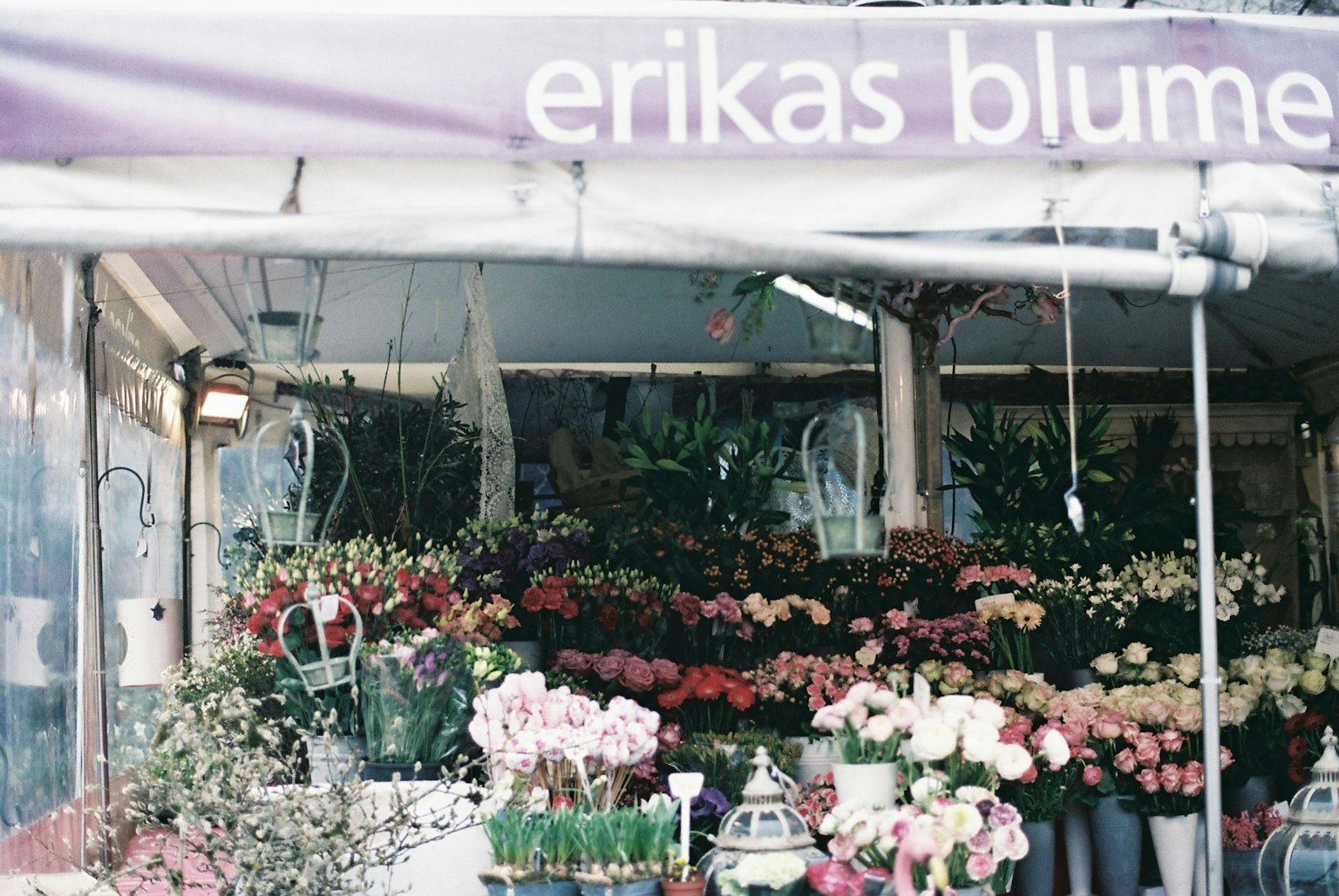 Vista exterior de Erikas Blume con una variedad de flores coloridas