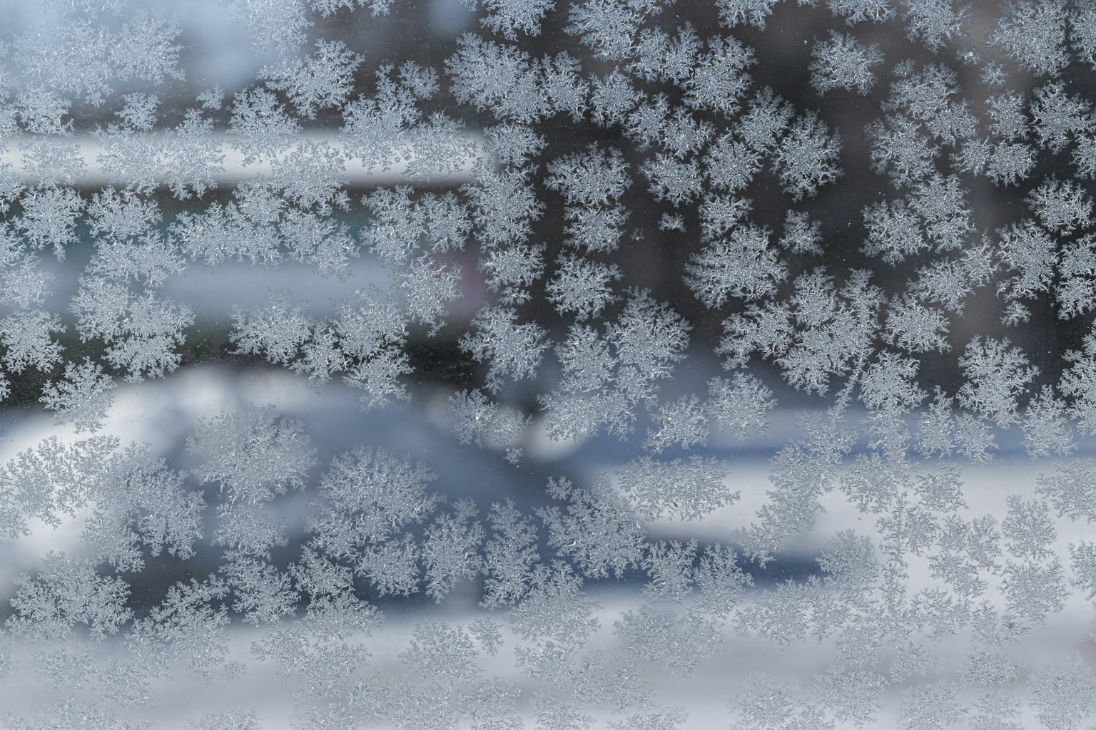 Fenêtre gelée présentant des motifs de flocons de neige complexes