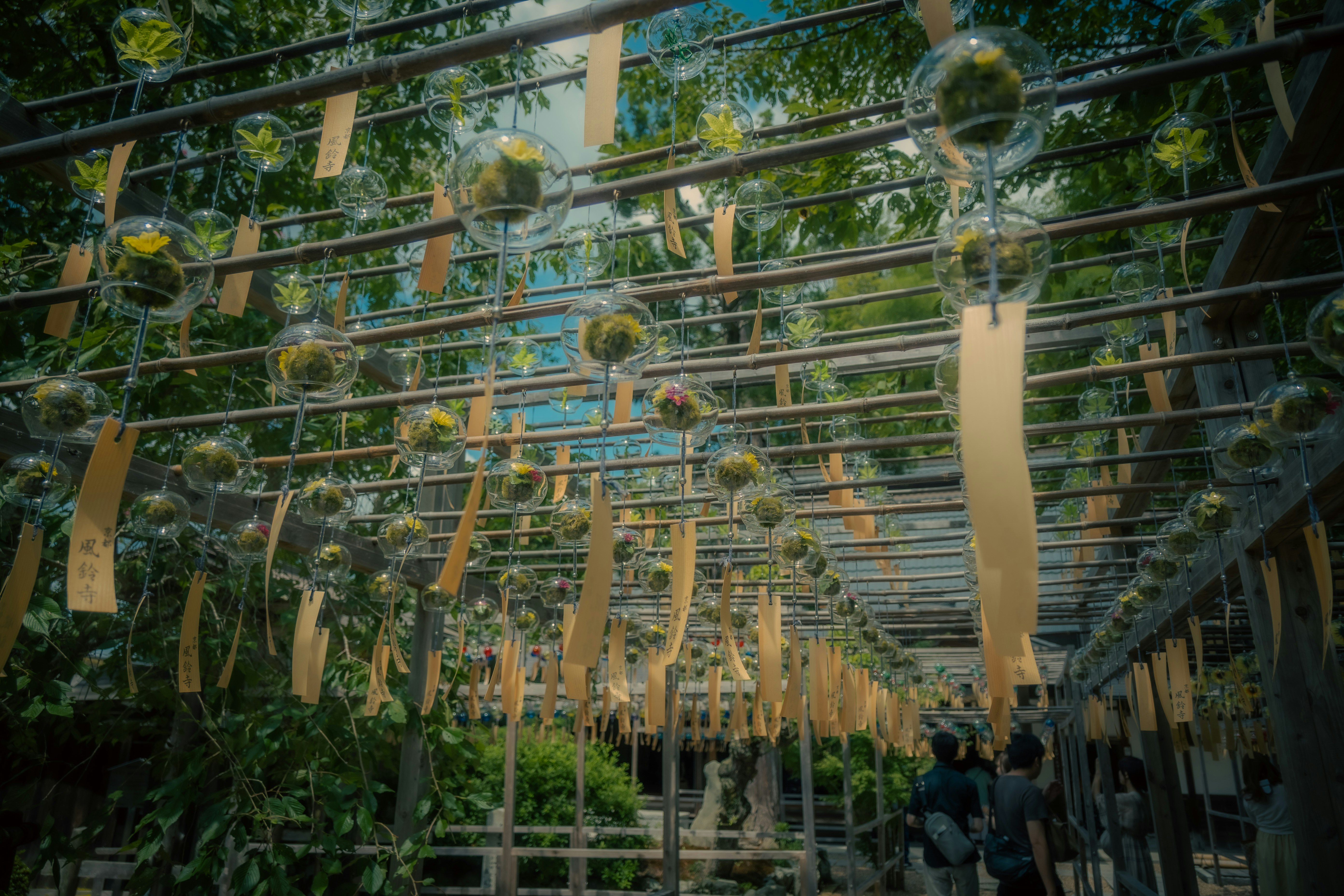 serra di un giardino botanico con sfere decorative sospese viste attraverso il vetro