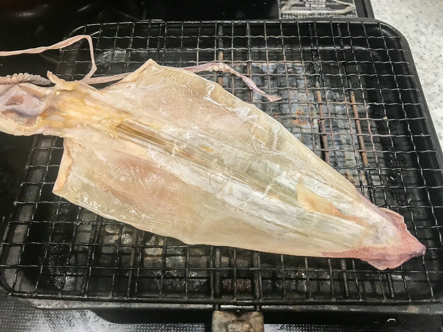 干鱿鱼放在烤架上