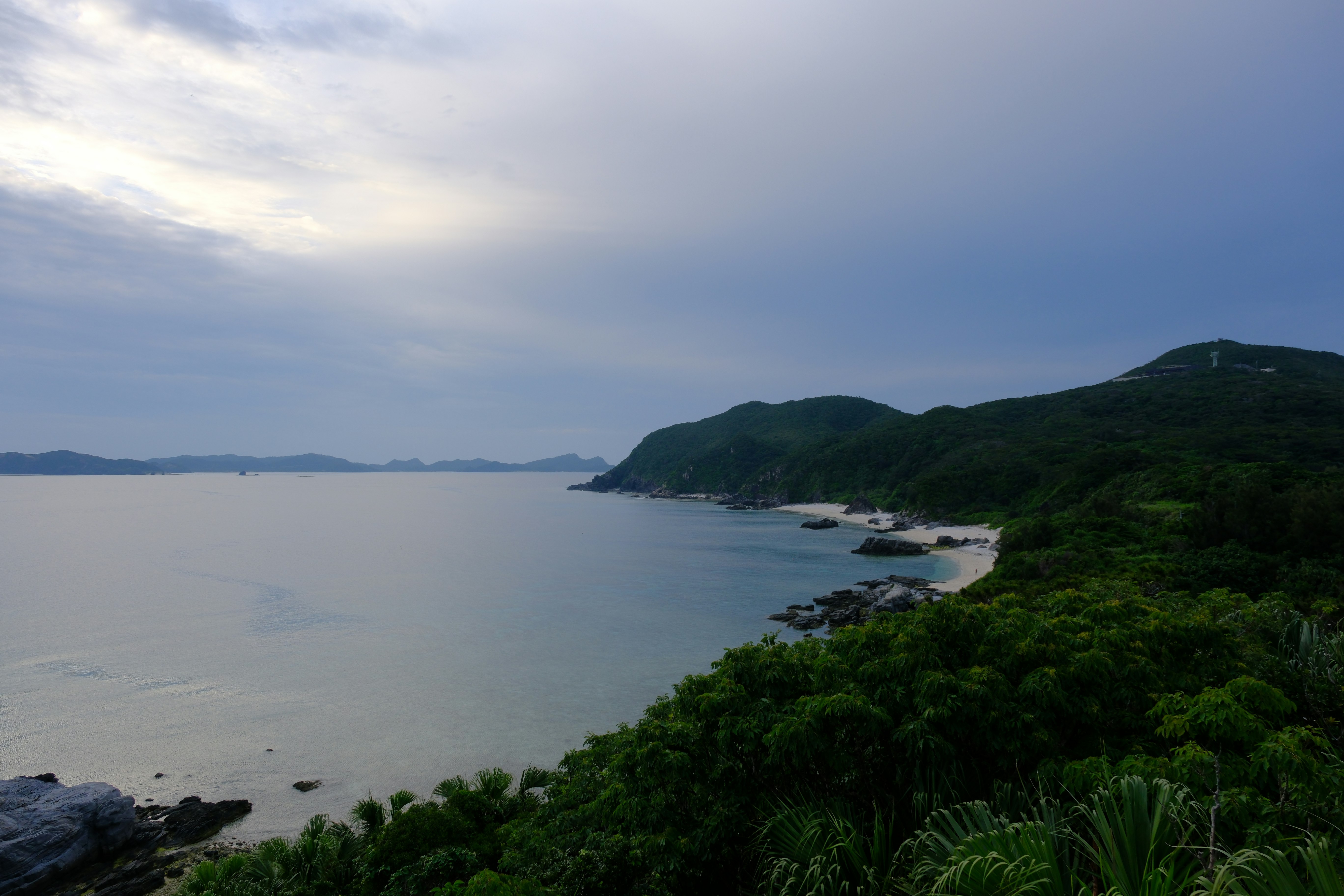 海沿いの断崖と緑の森が続く海岸風景